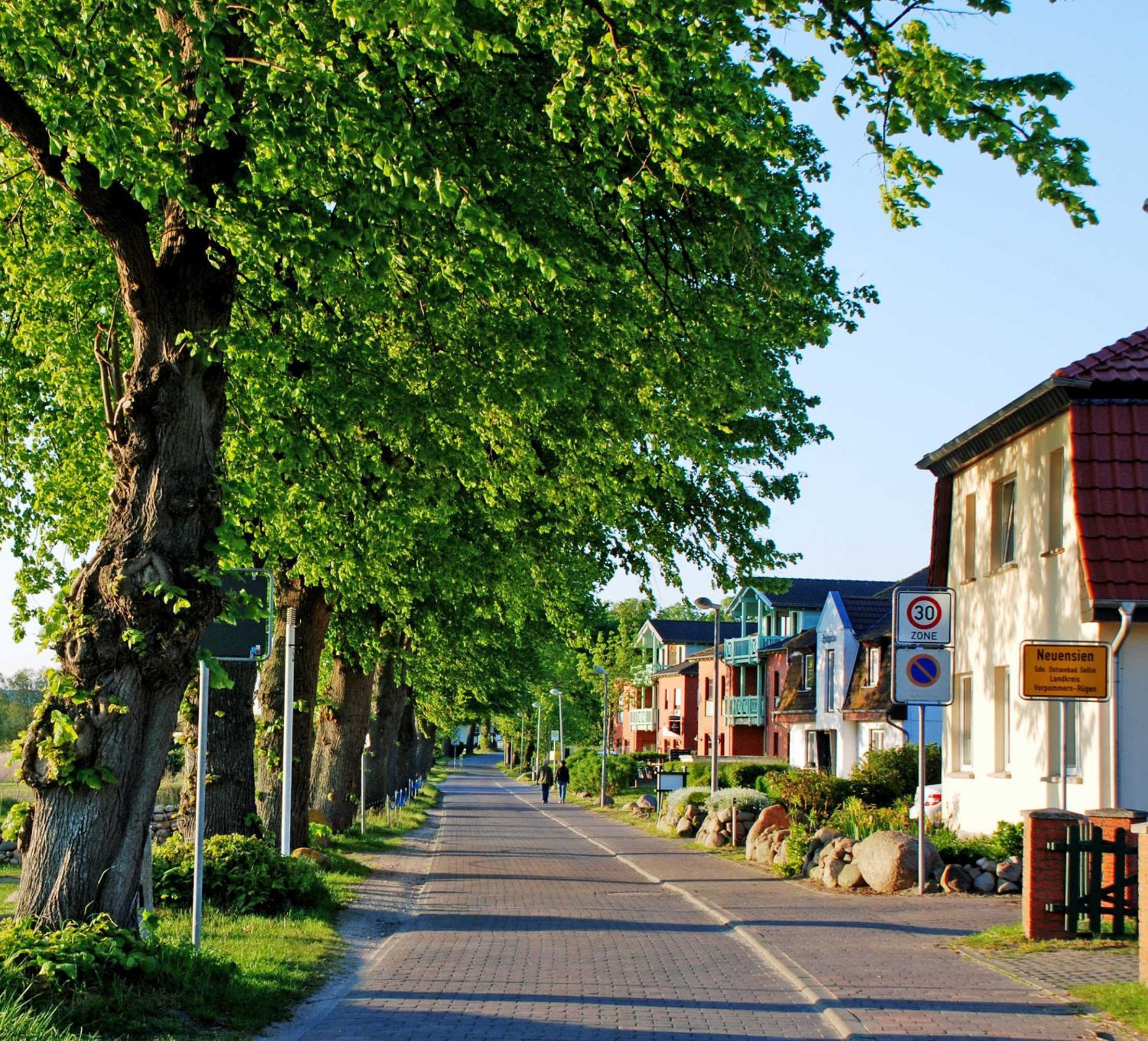 ruhig gelegene Ferienwohnung am Ne view 4
