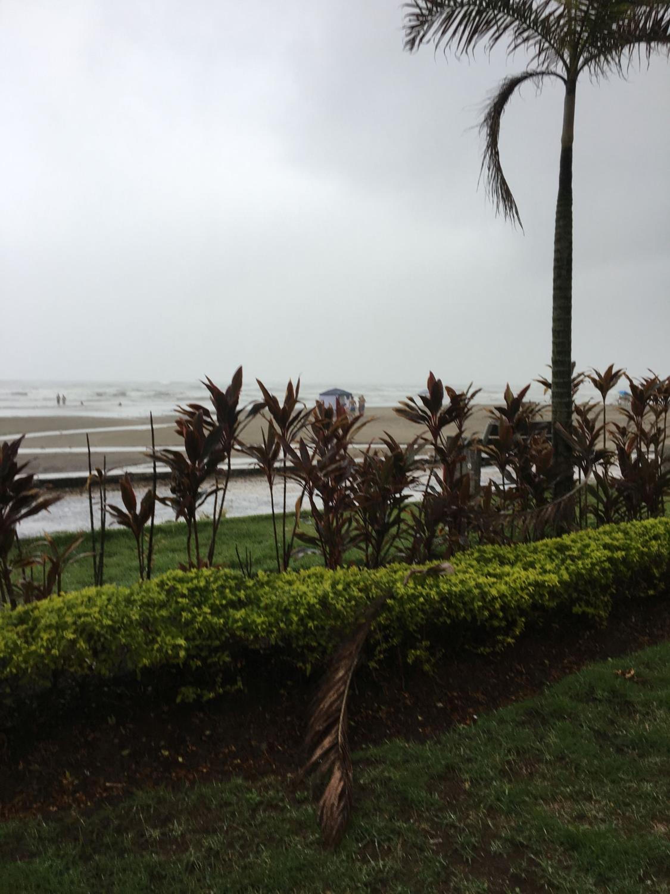 Lindo apto na Vila Tupi view 5