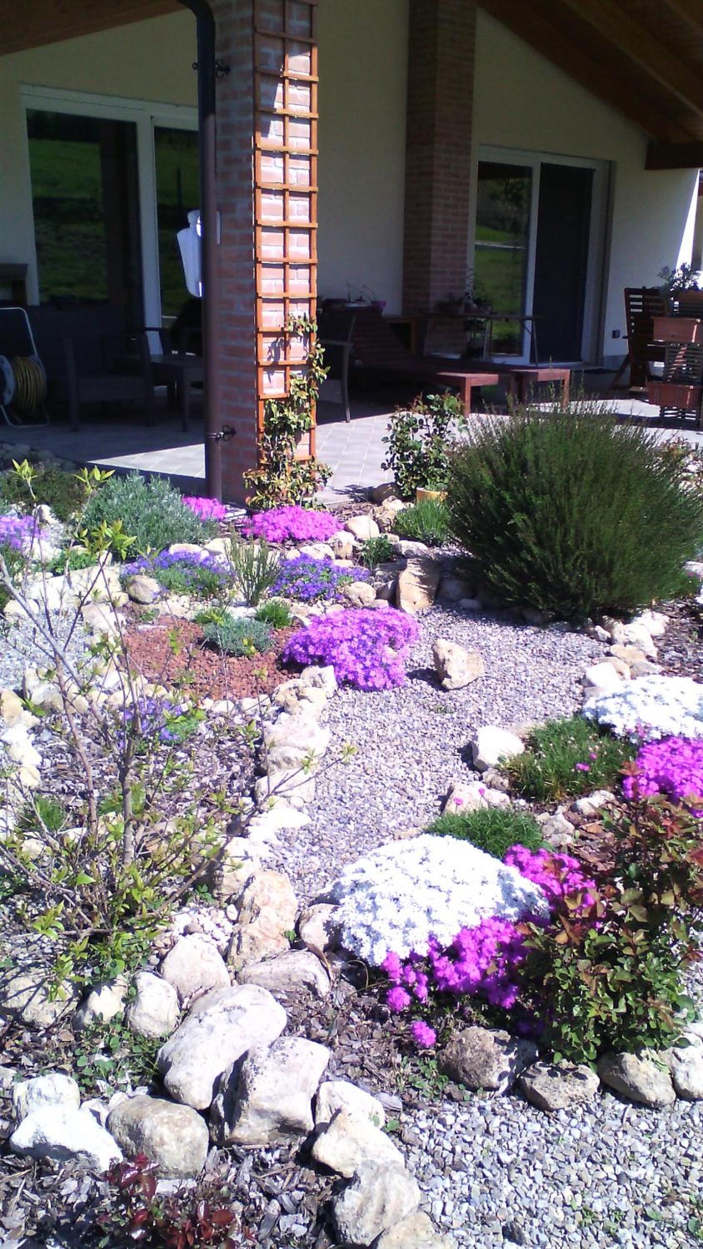 Photo 46