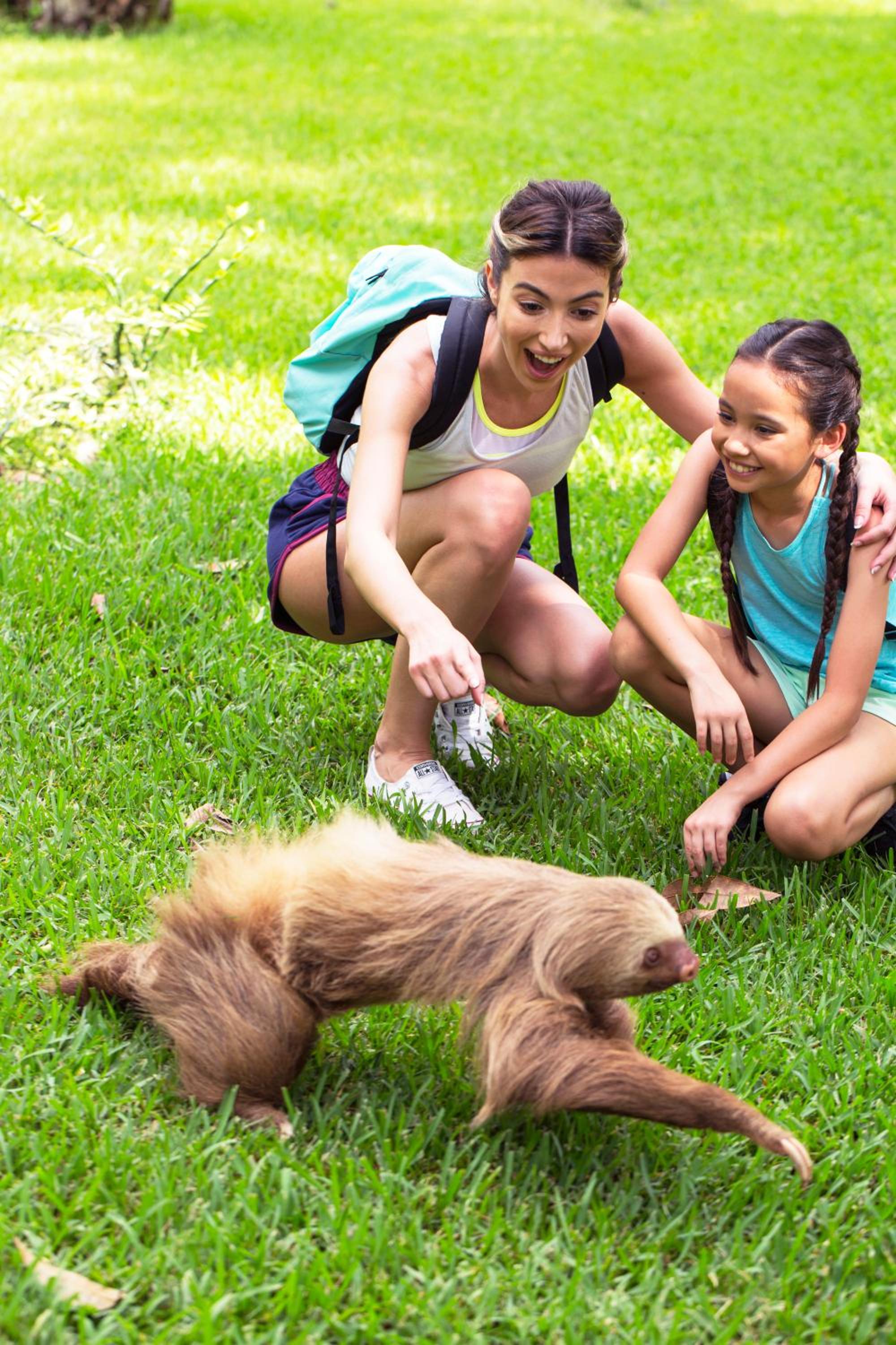 Planet Hollywood Costa Rica by Royalton, An Autograph Collection All-Inclusive Resort 132