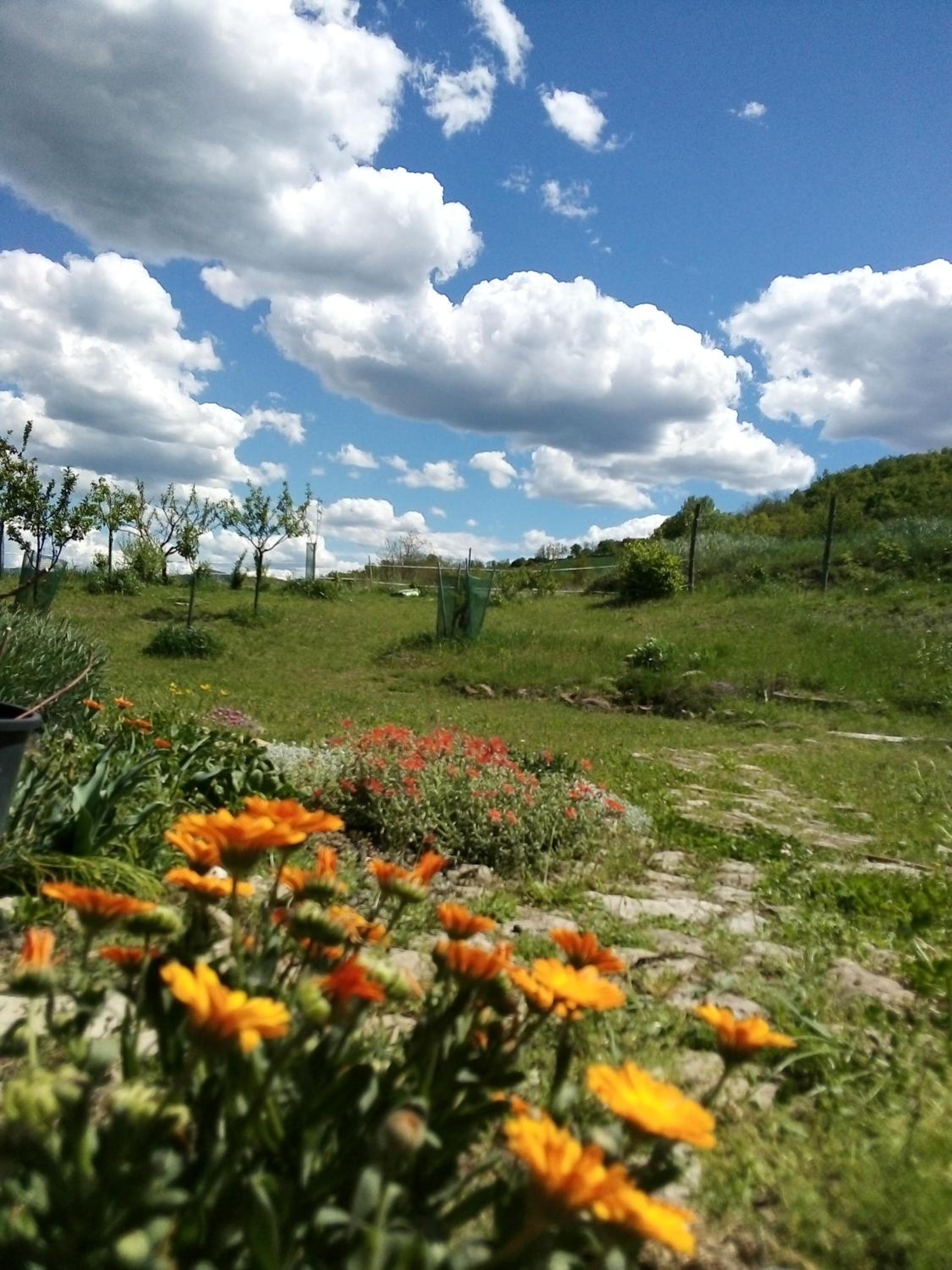 Photo 28