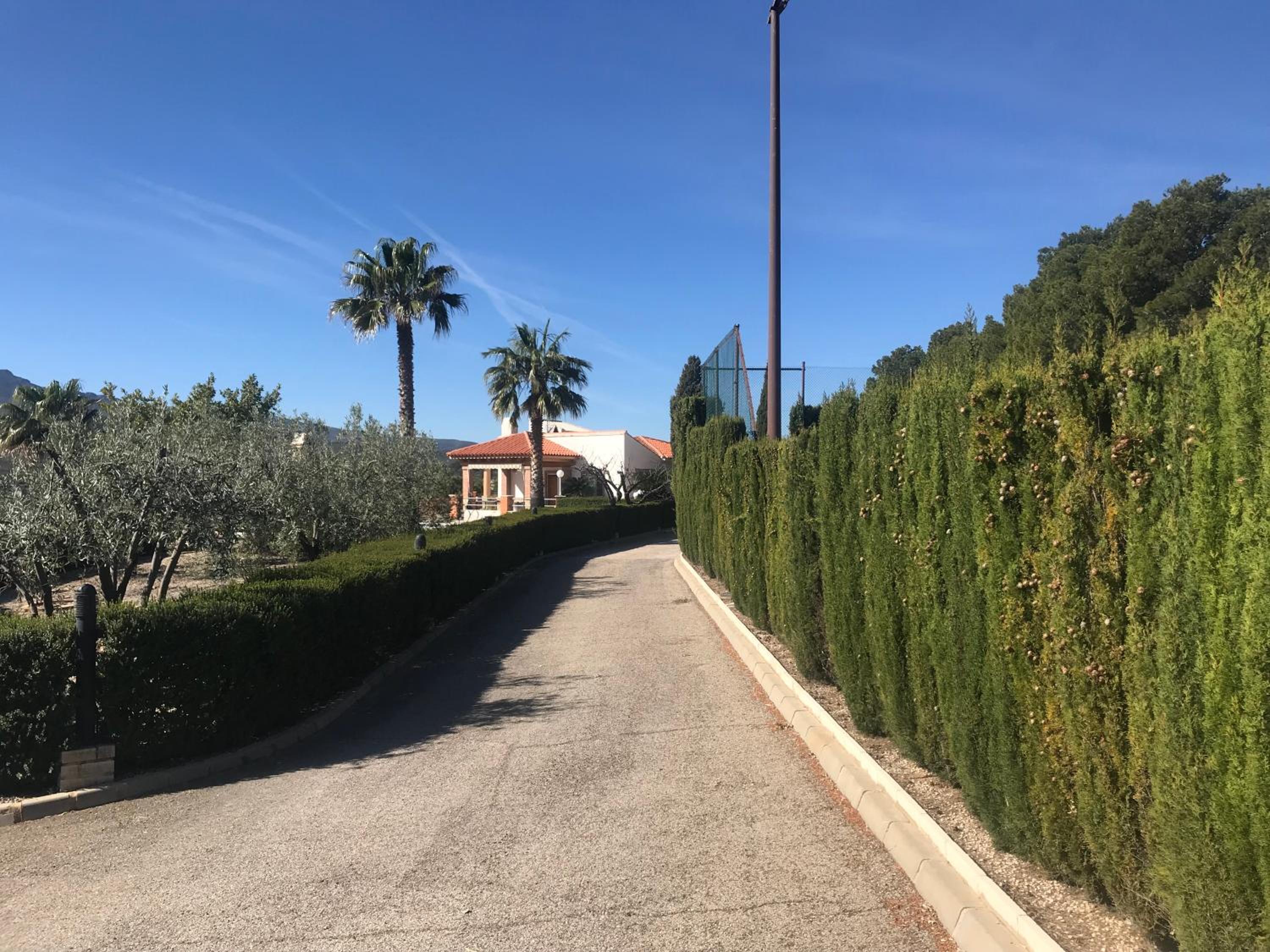 Photo 26