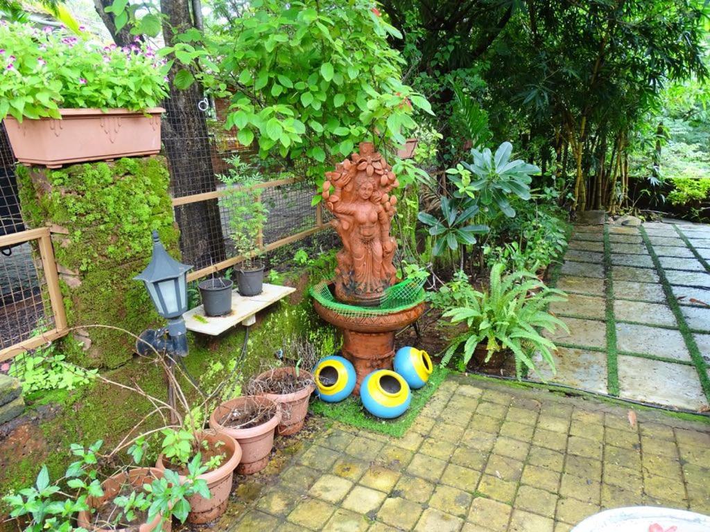 Photo 18