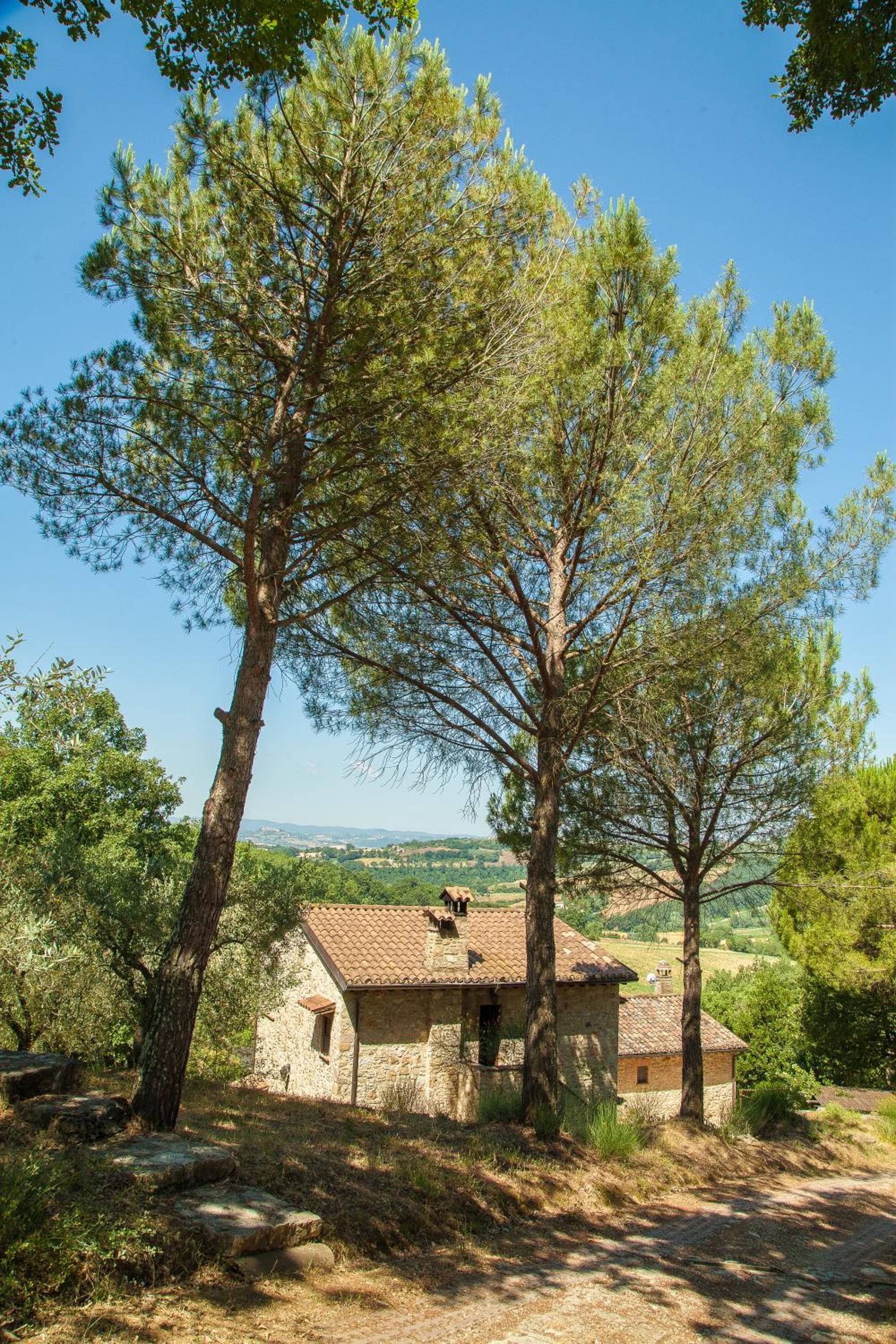 Agriturismo Bio Tra Cielo e Terra