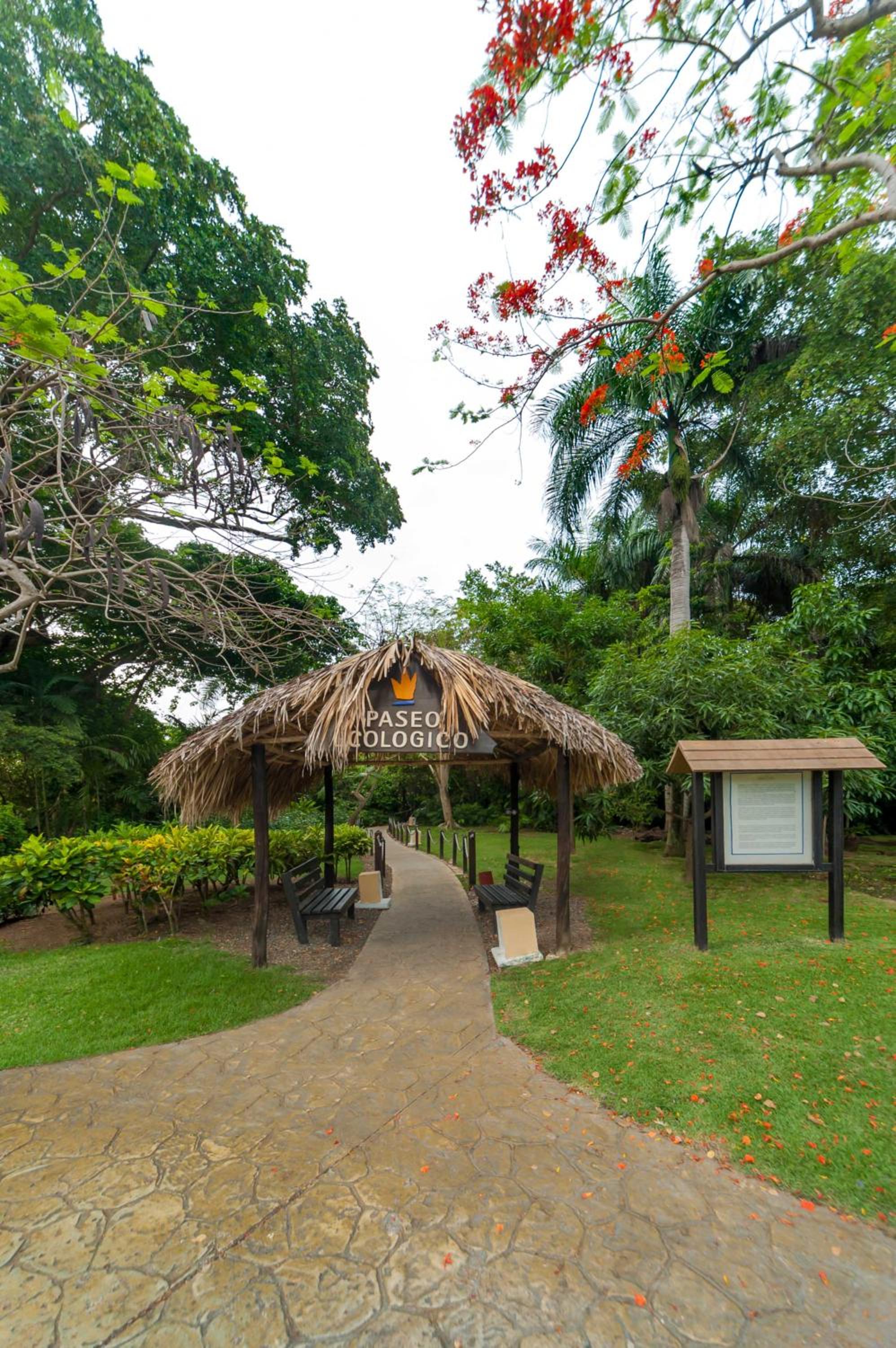 Foto 65 de 120 de Princess Family Club Bavaro - All Inclusive