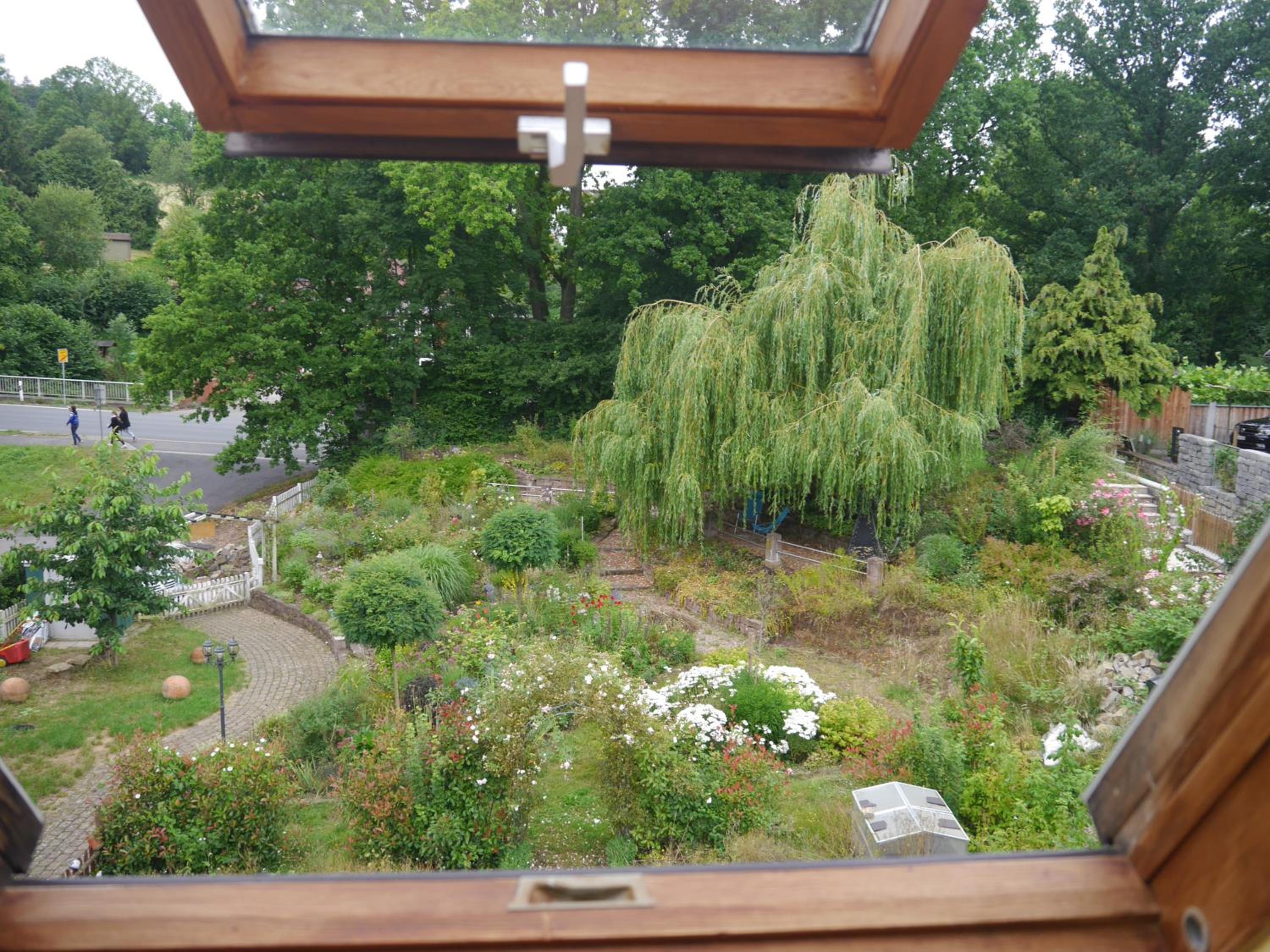 Photo 36