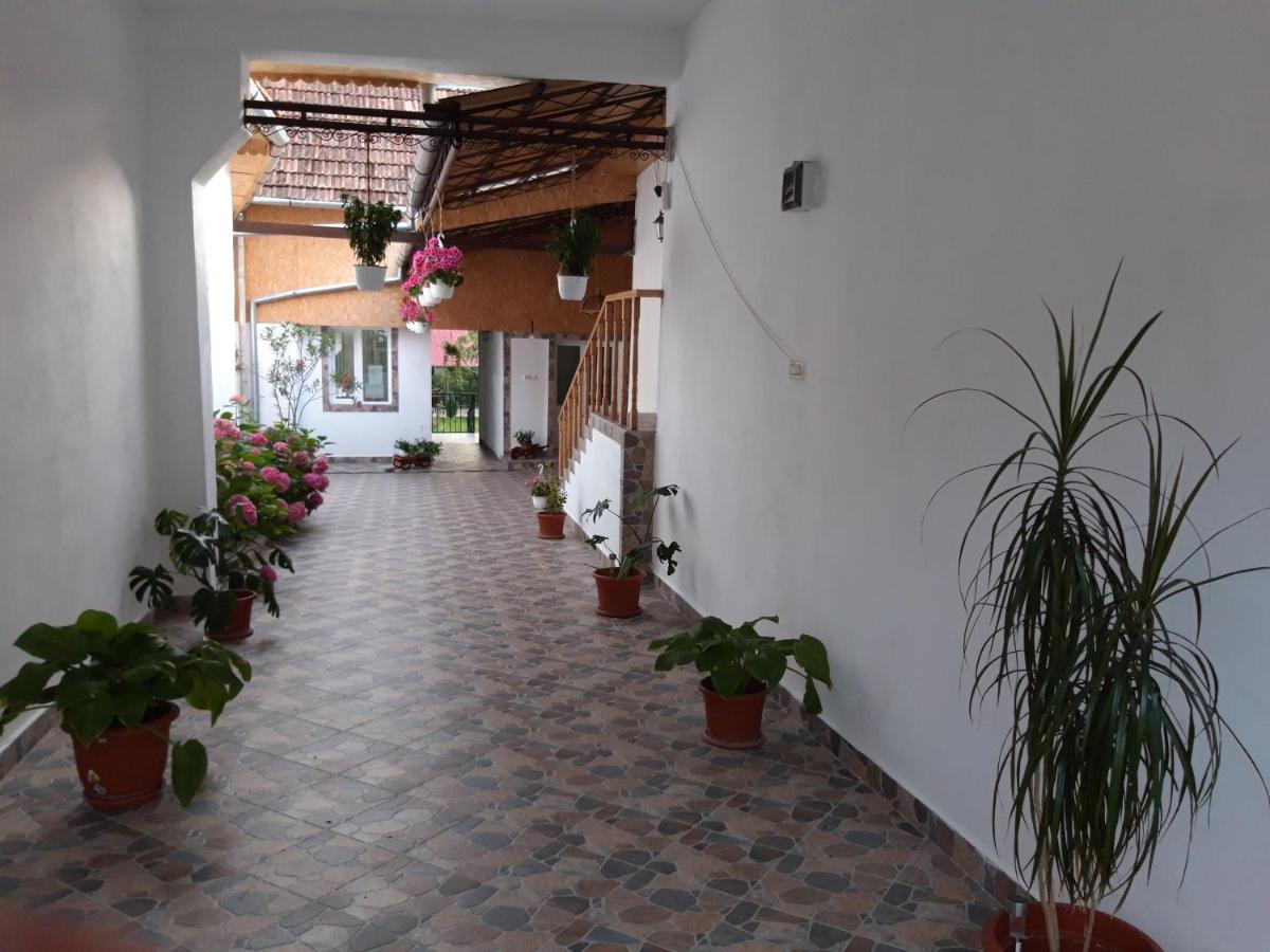 Casa Valea Morilor view 5