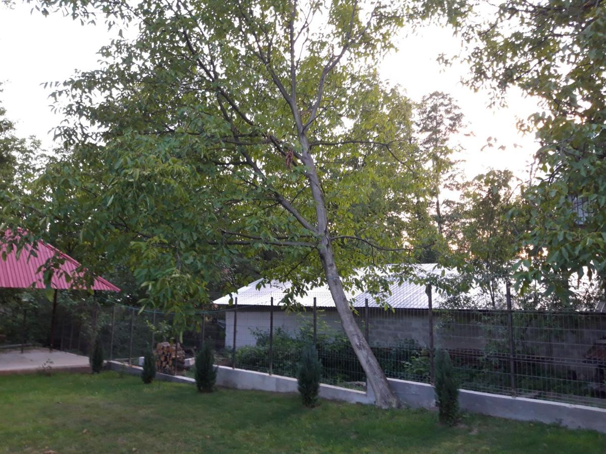 Casa Valea Morilor view 3