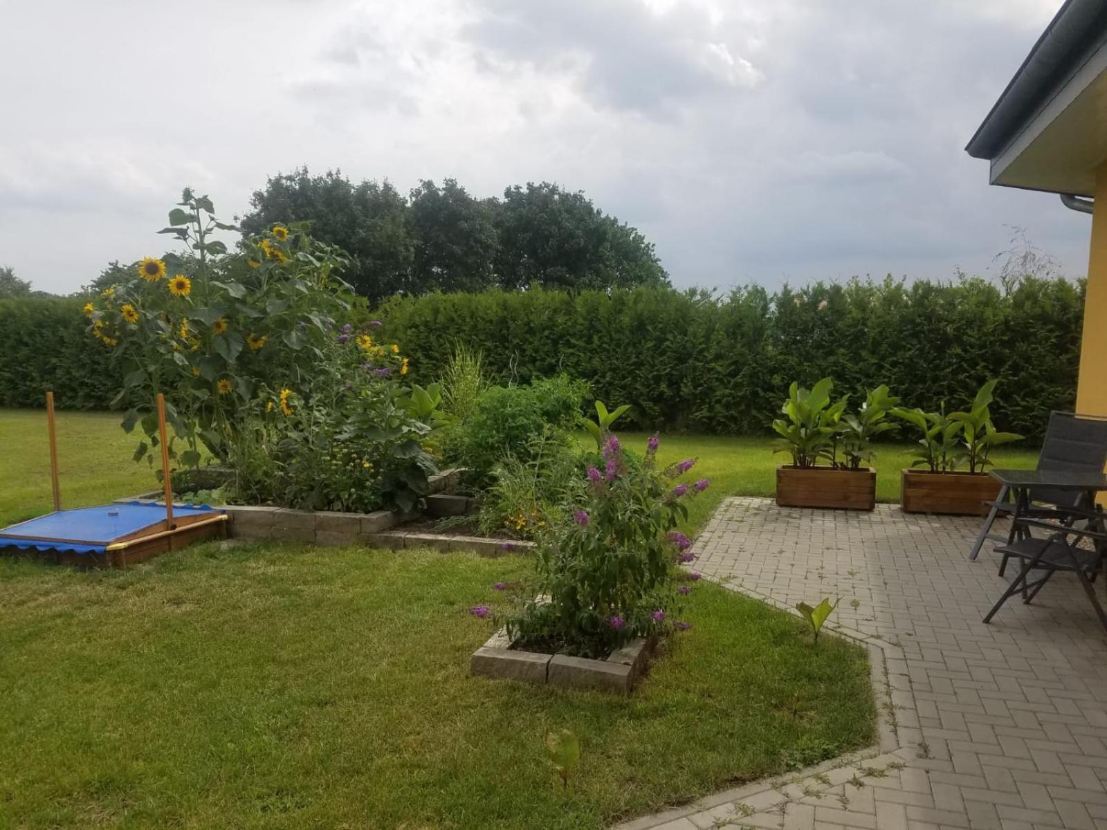Ferienhaus zum Imker, photo 11