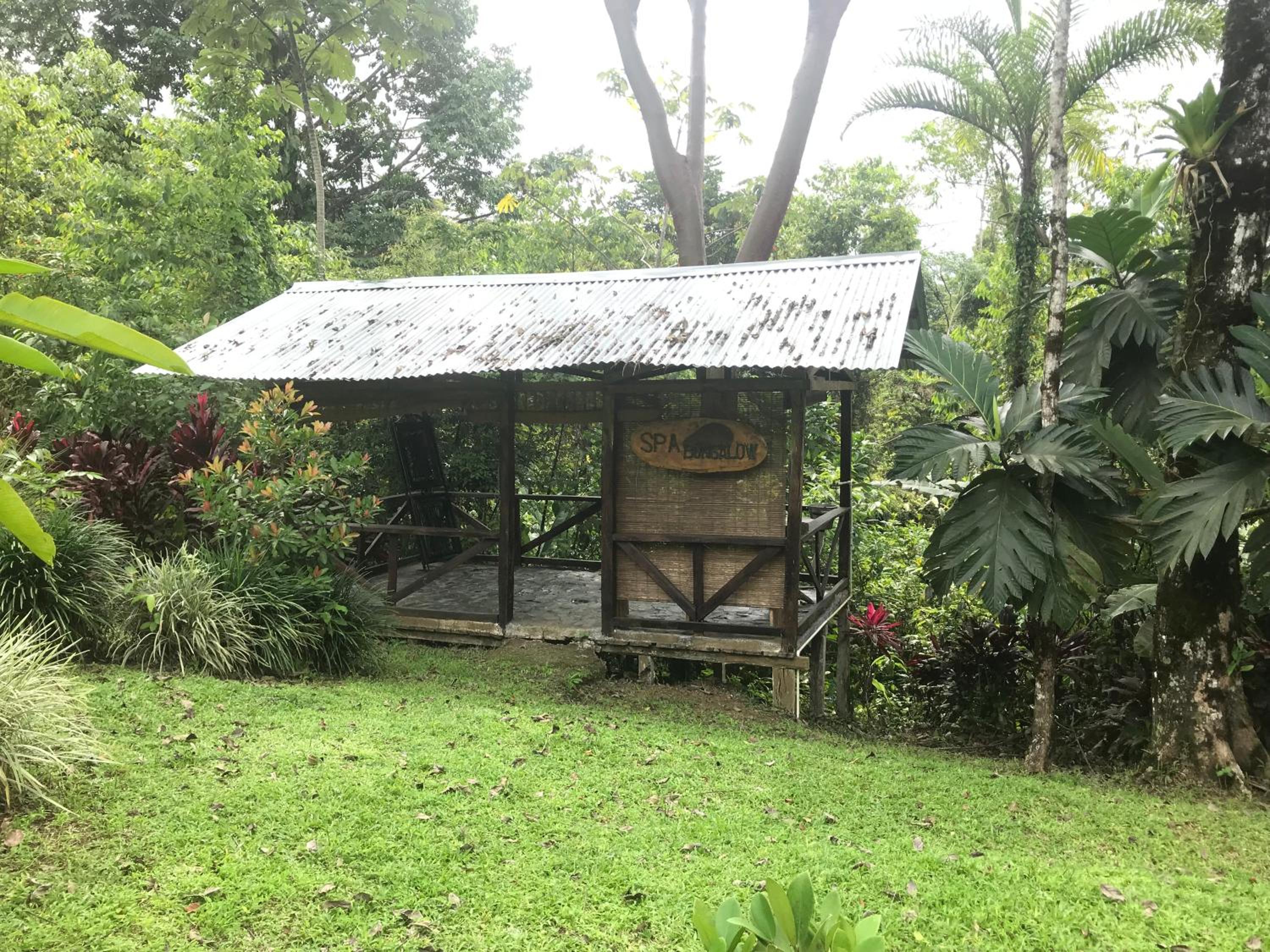 Photo 16