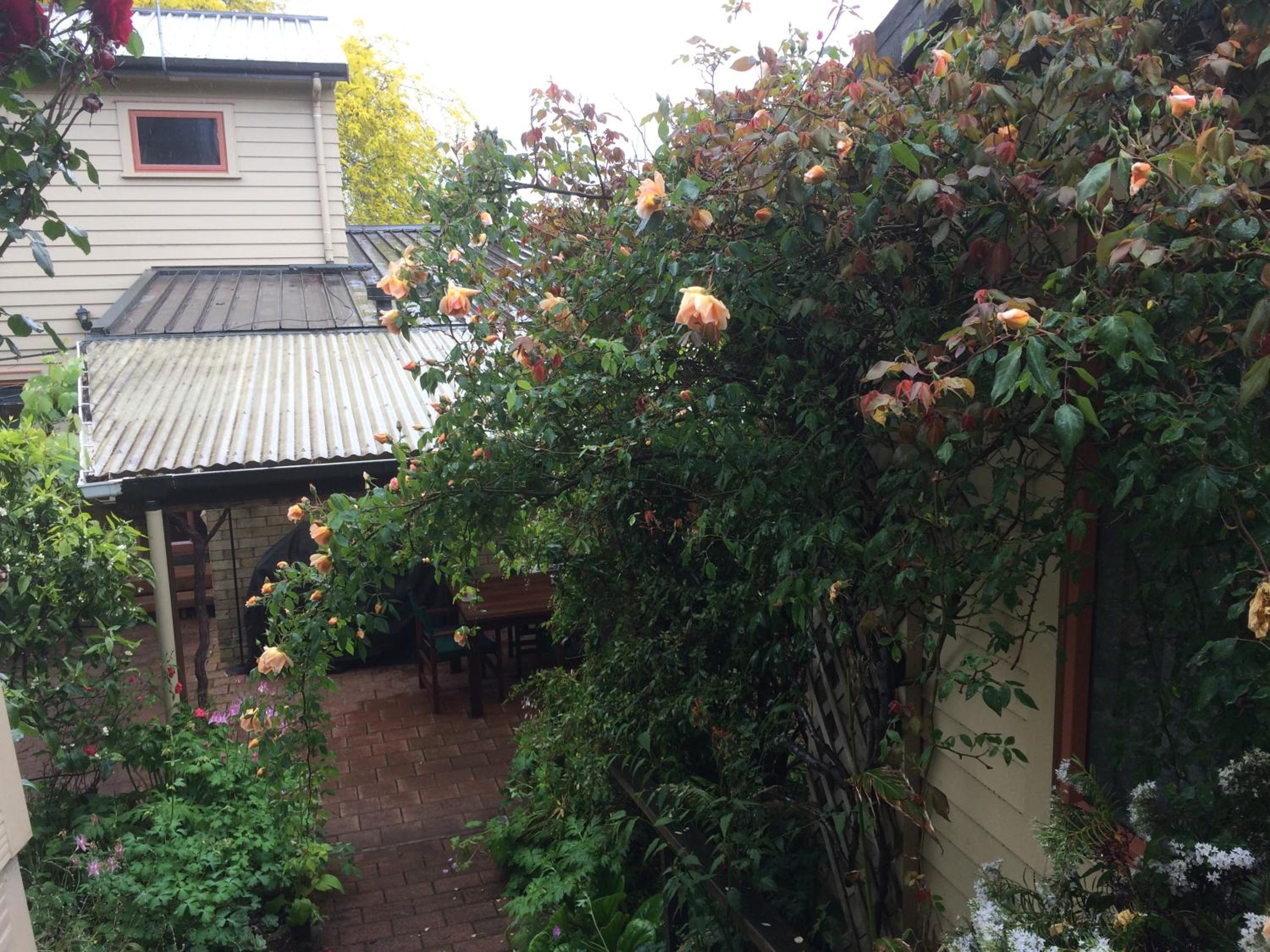Waitomo Caves Guest Lodge