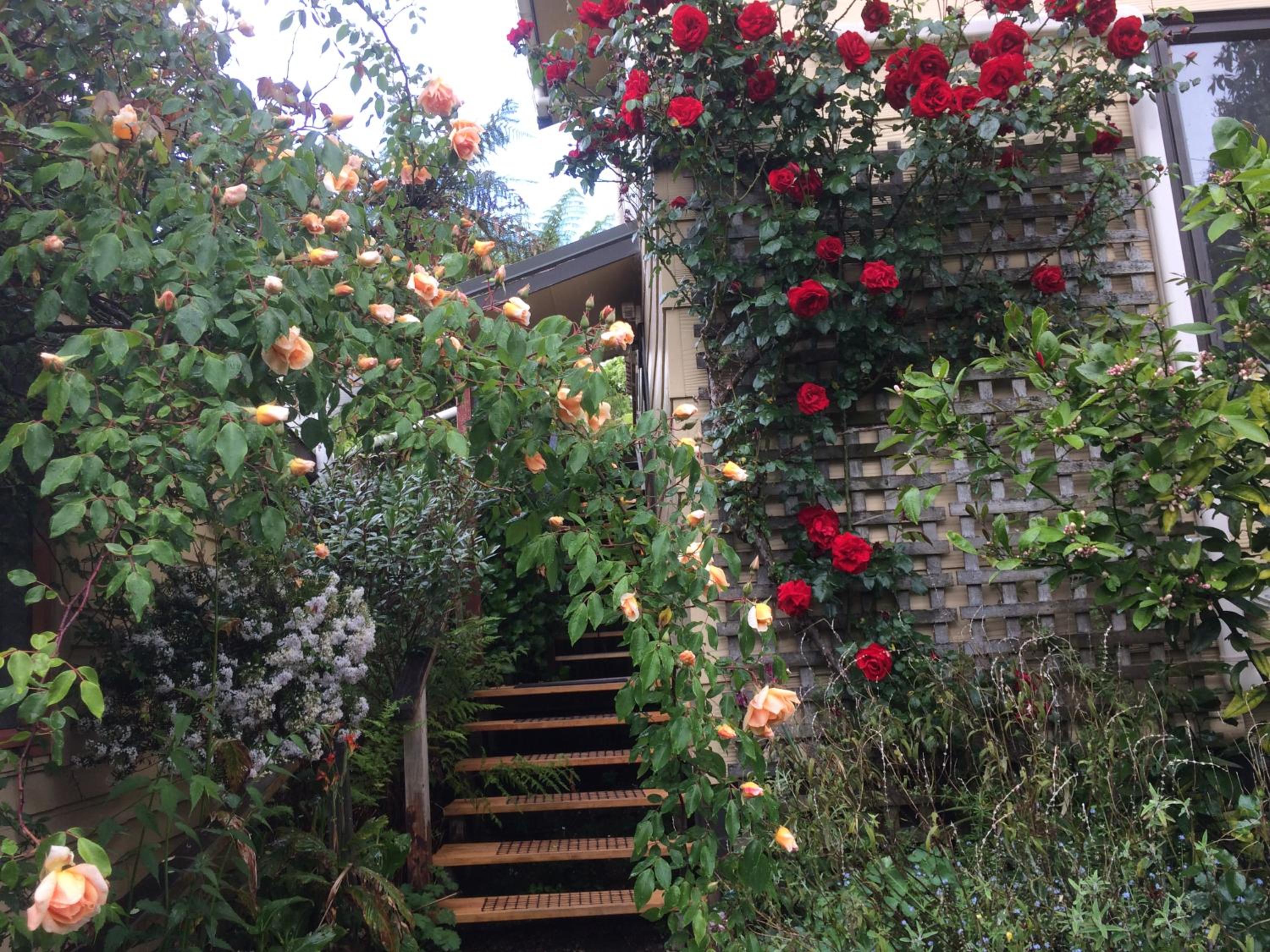 Waitomo Caves Guest Lodge
