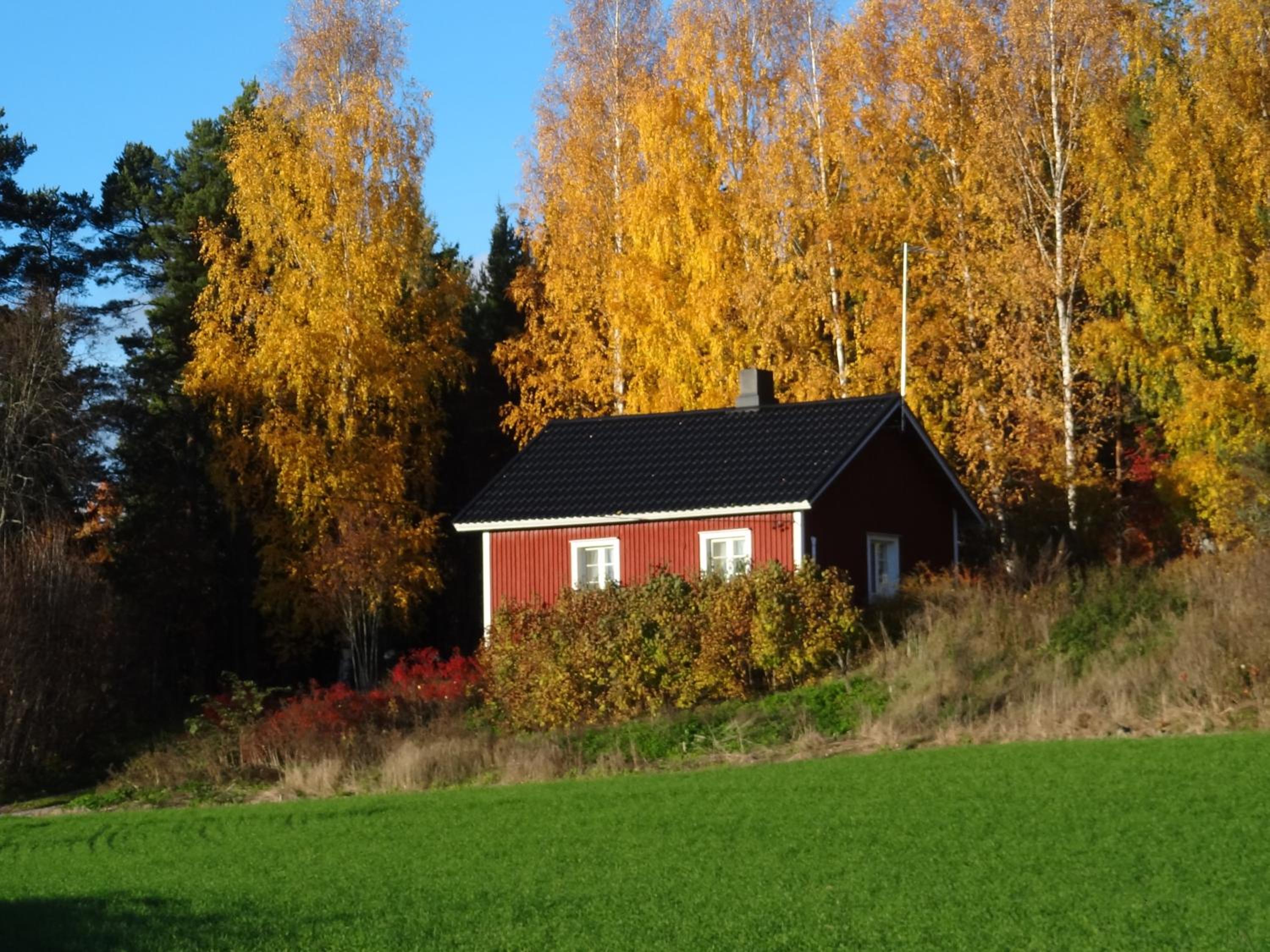 Störsby Bed & Breakfast view 5