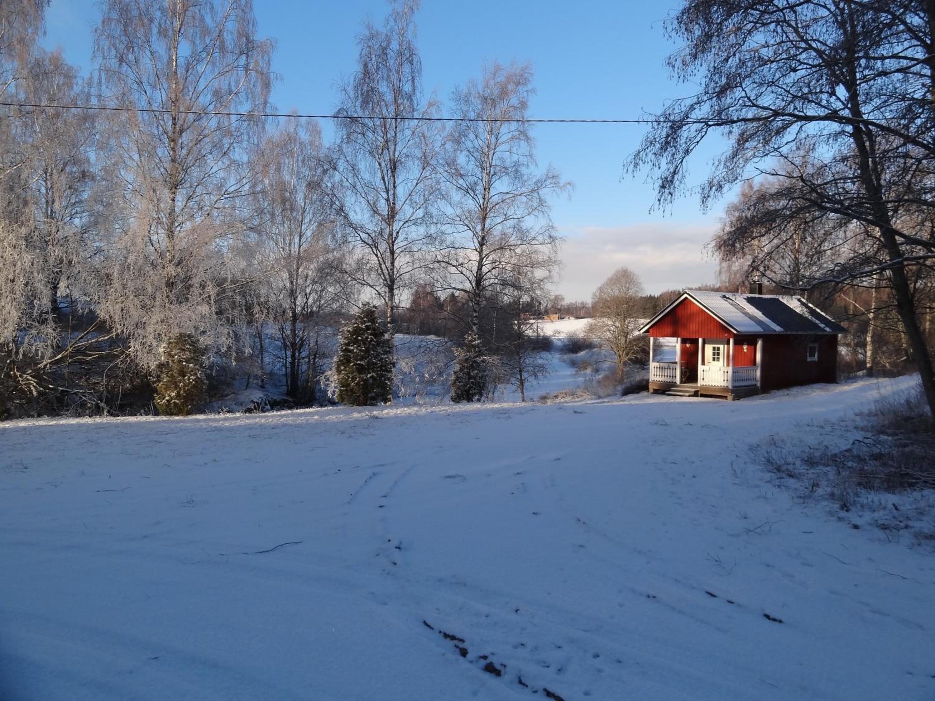 Photo 6