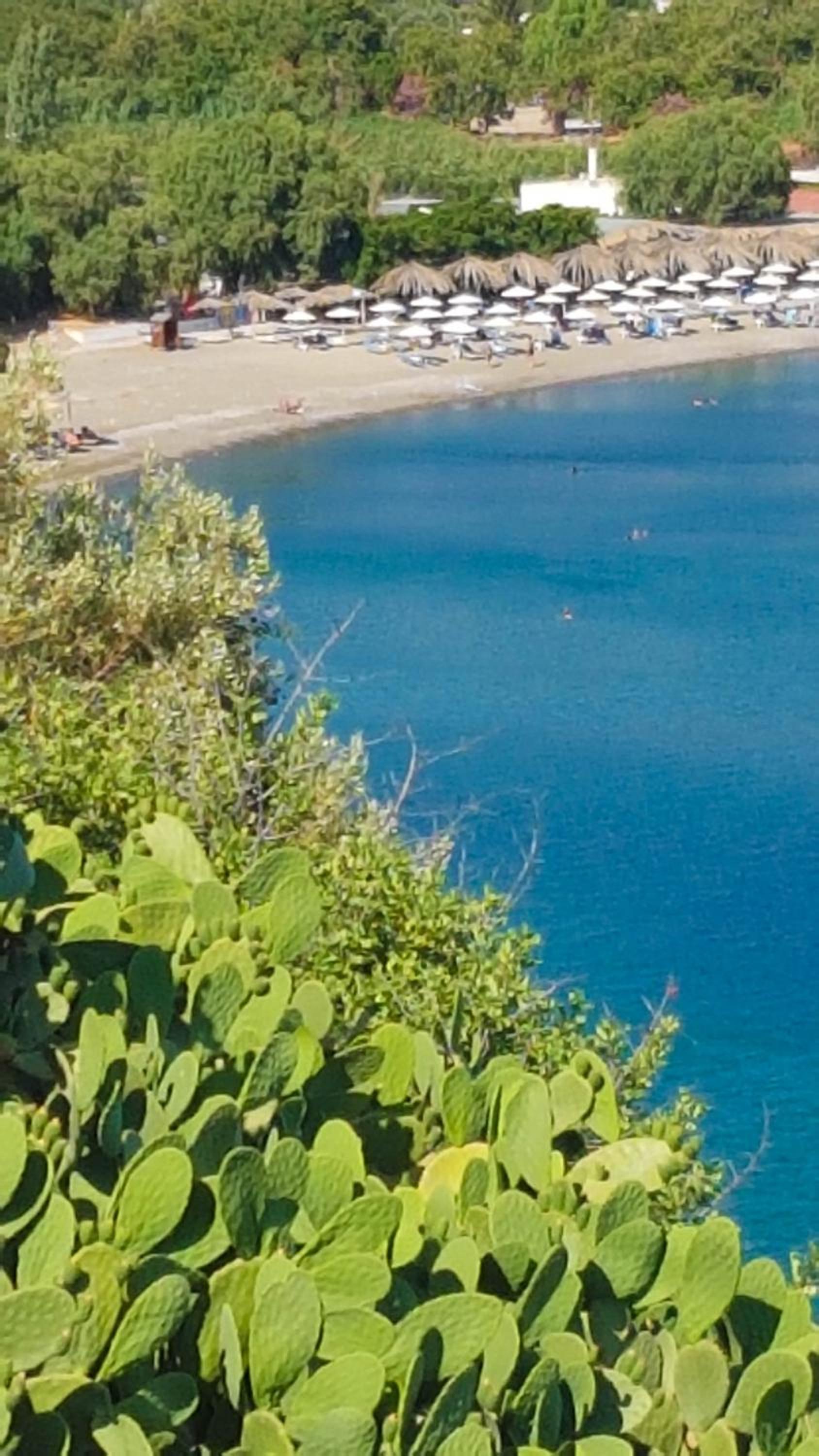 Avra
