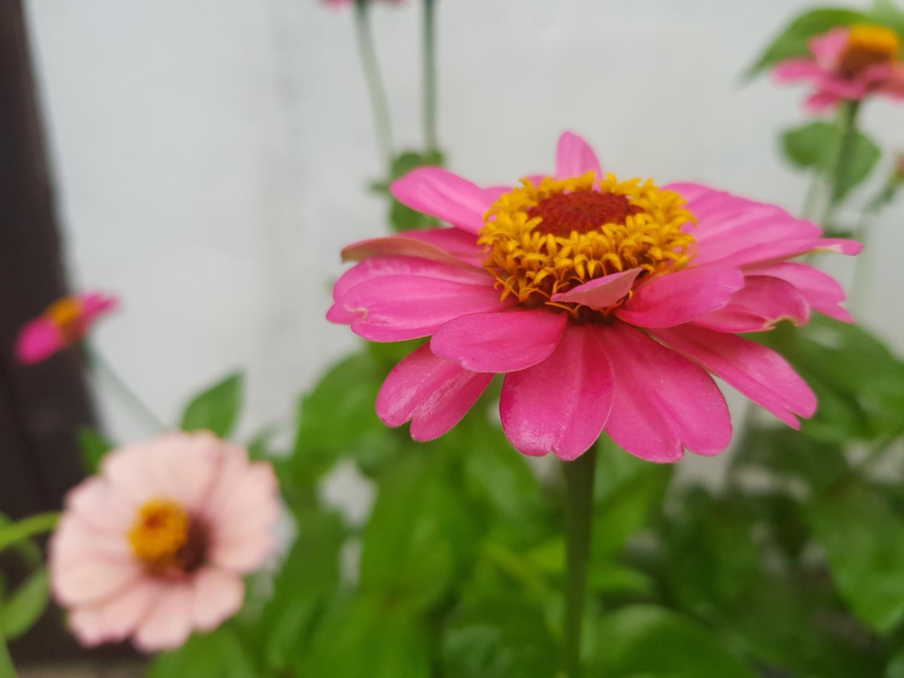 Photo 40