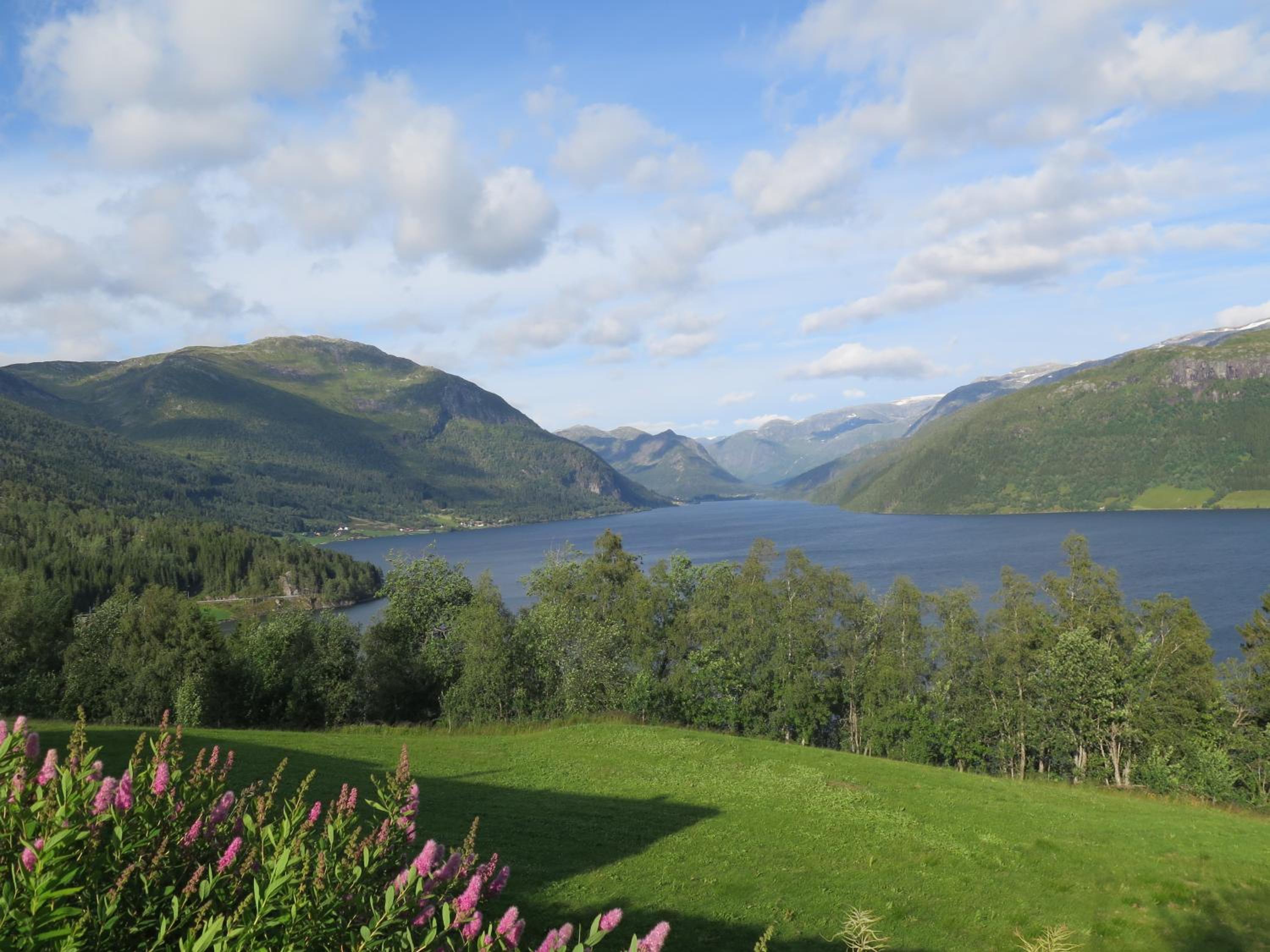 Studioleilighet i Haukedalen