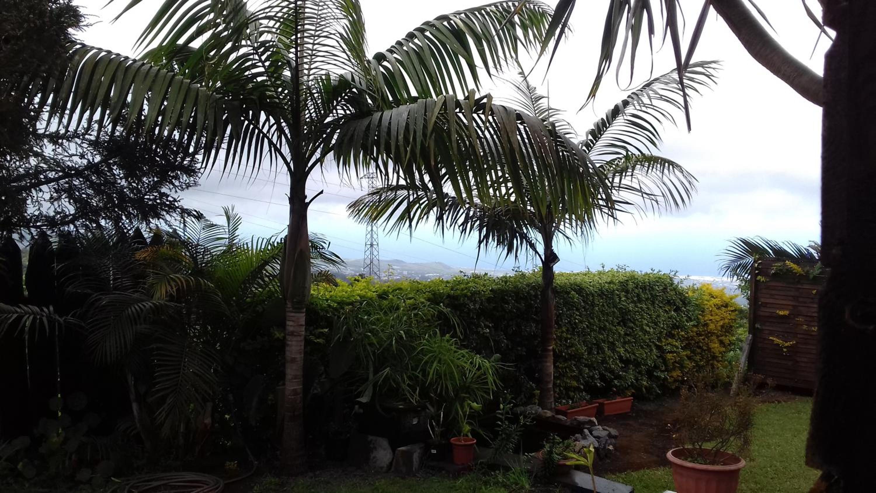 Ferme Lebon Papillon le chalet kayamb view 4