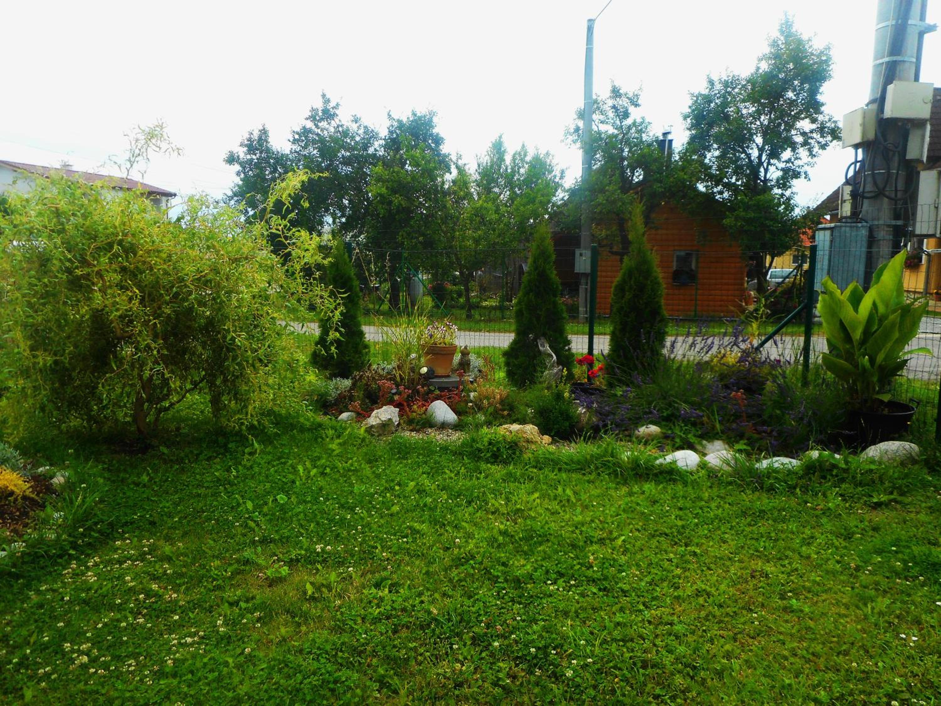 Photo 16