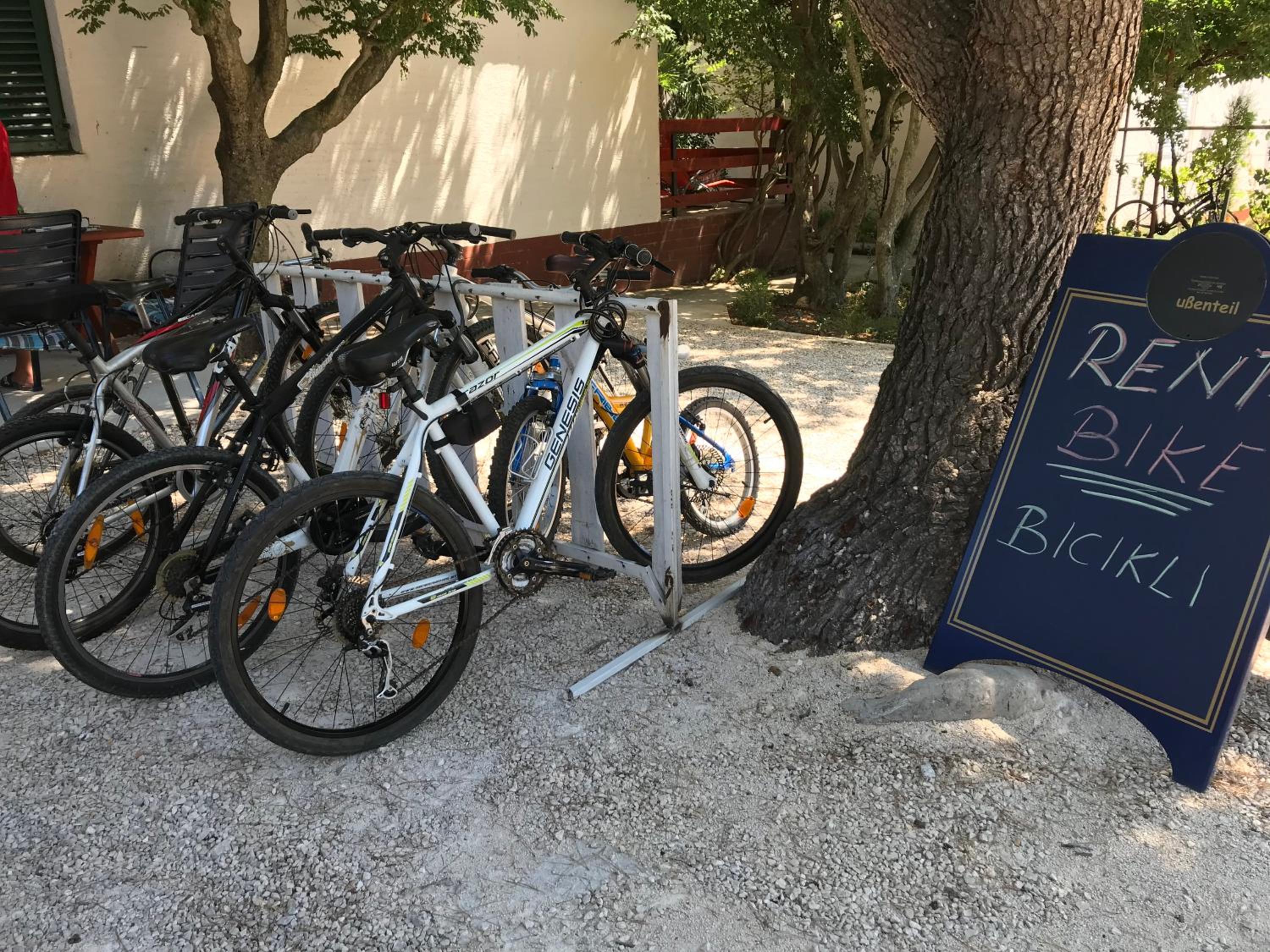 activities & amenities