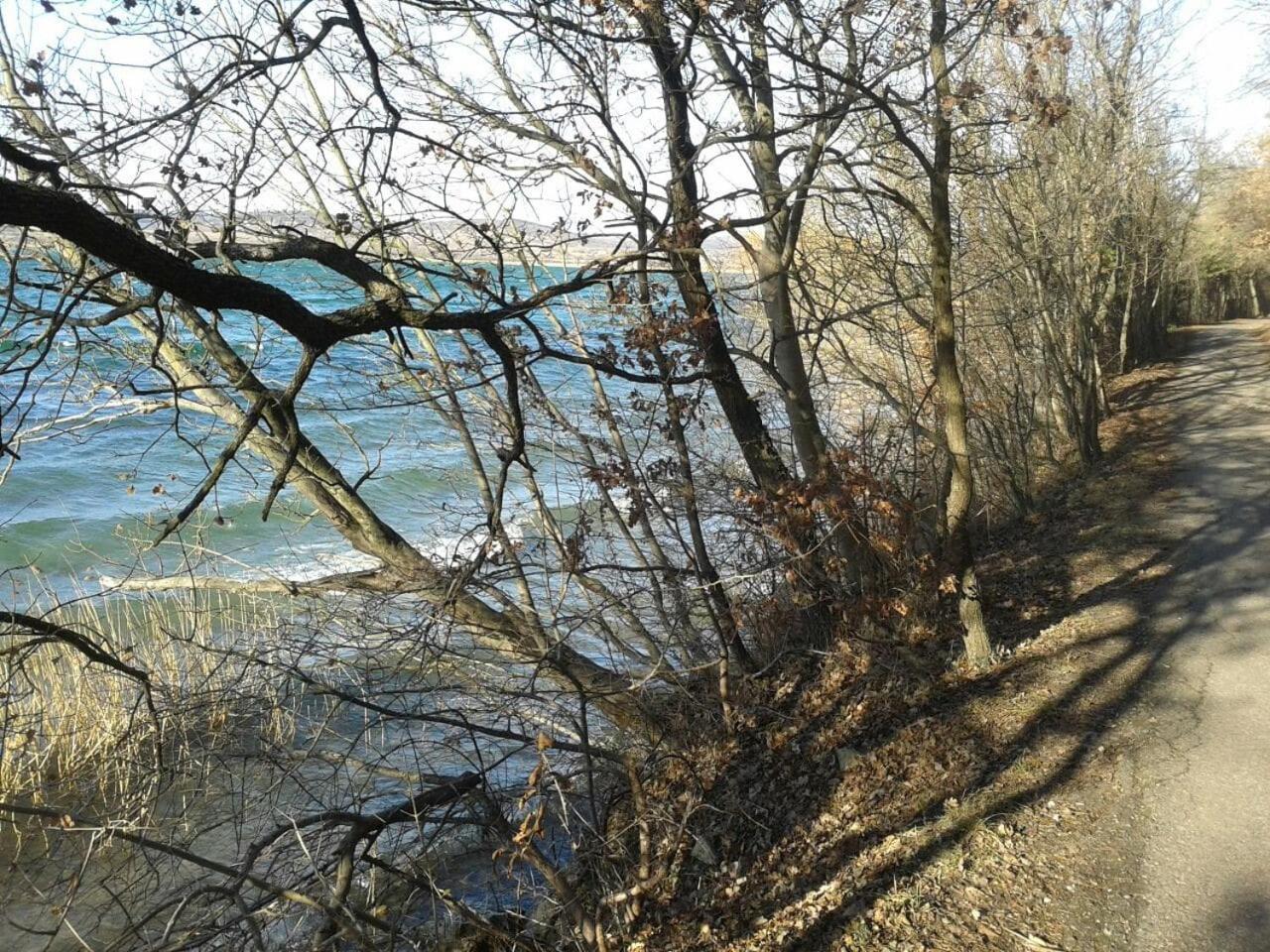 Photo 40