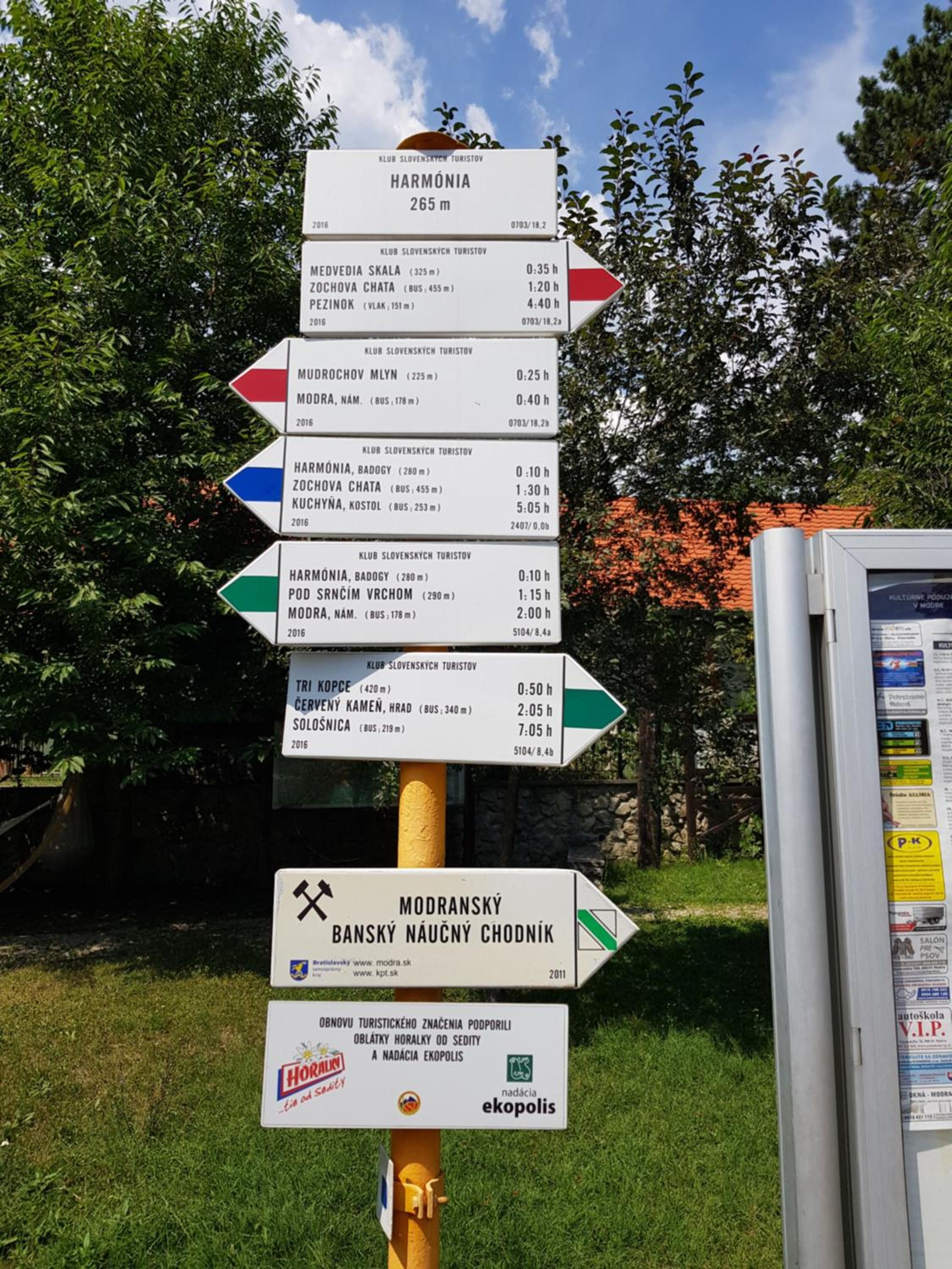 Photo 44