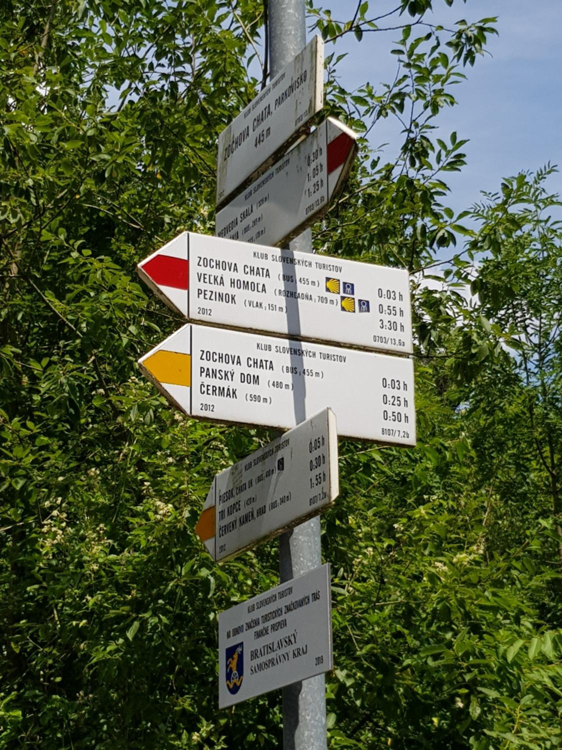 Photo 46