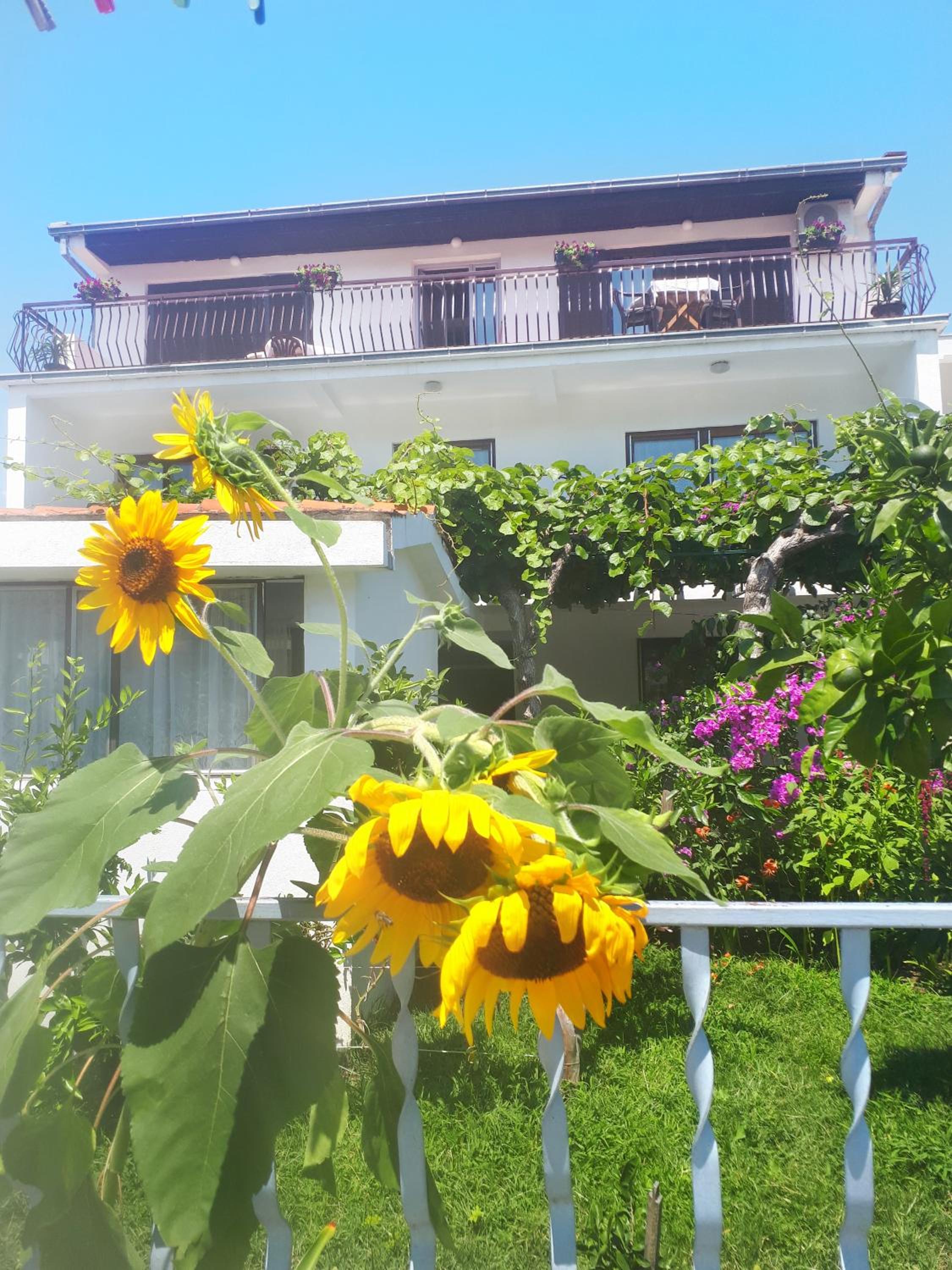 Guesthouse DONA