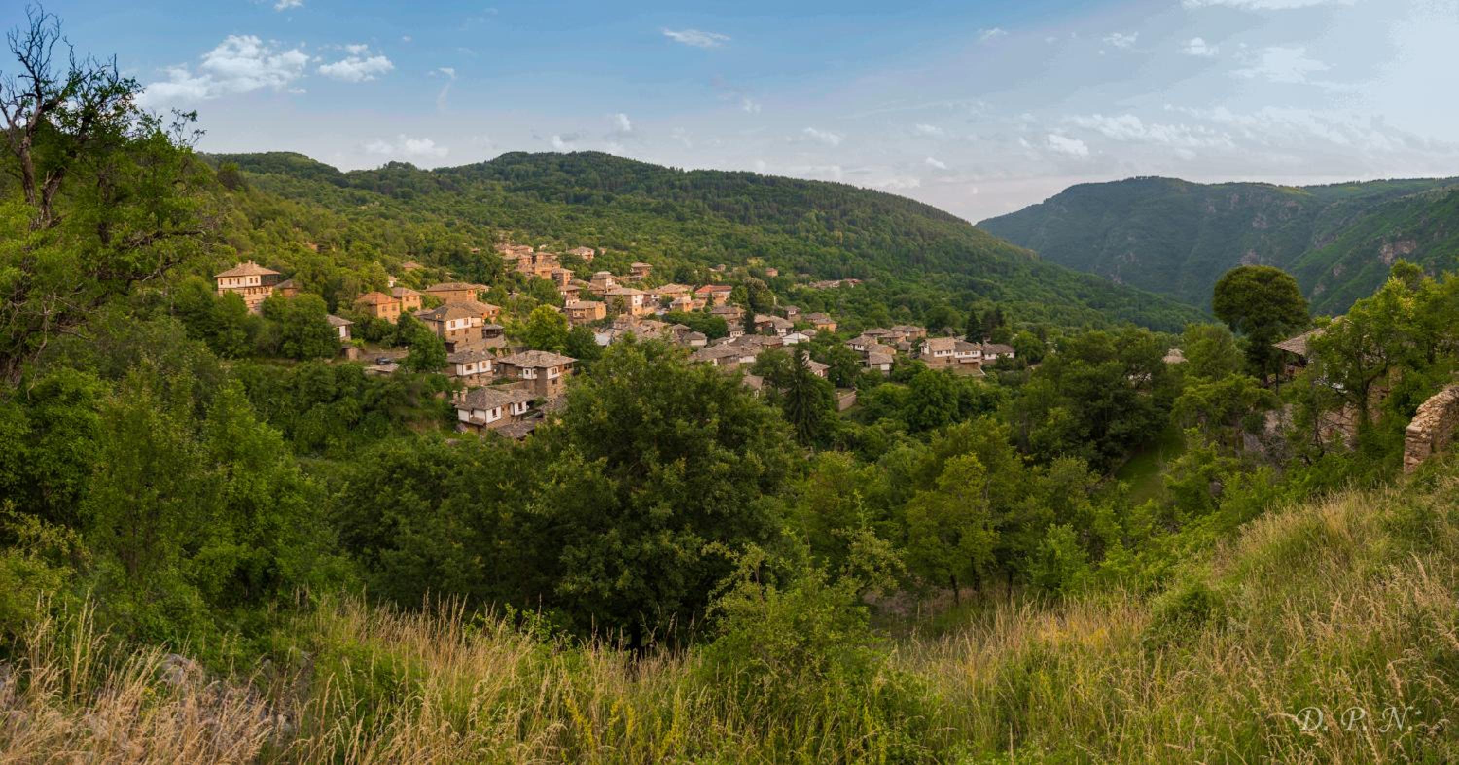 Пачаловата къща