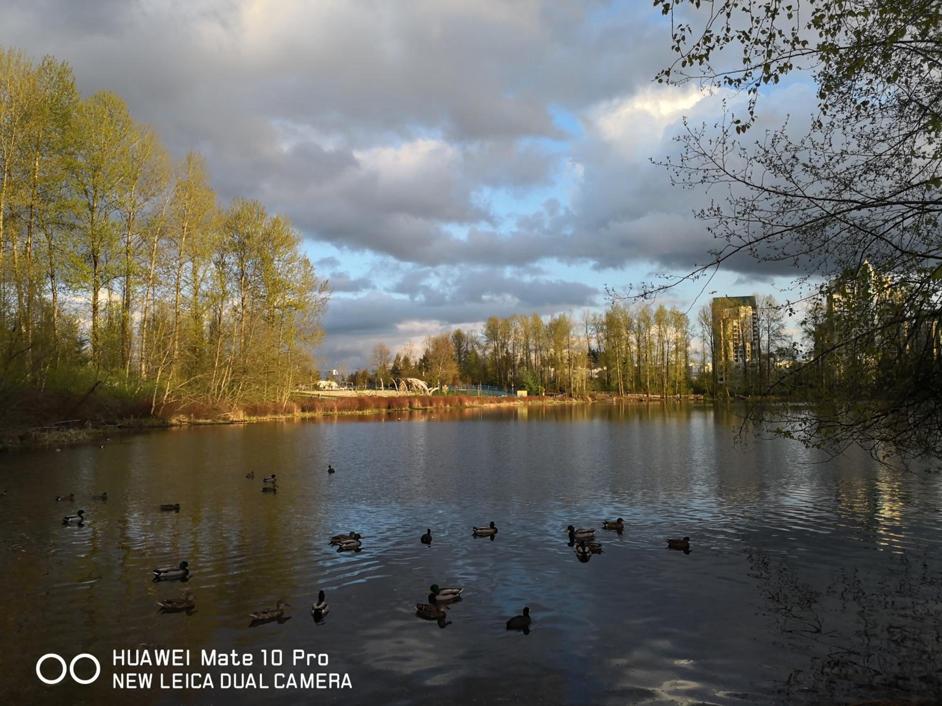 Coquitlam center, 2 bedroom suite, walking to skytrain