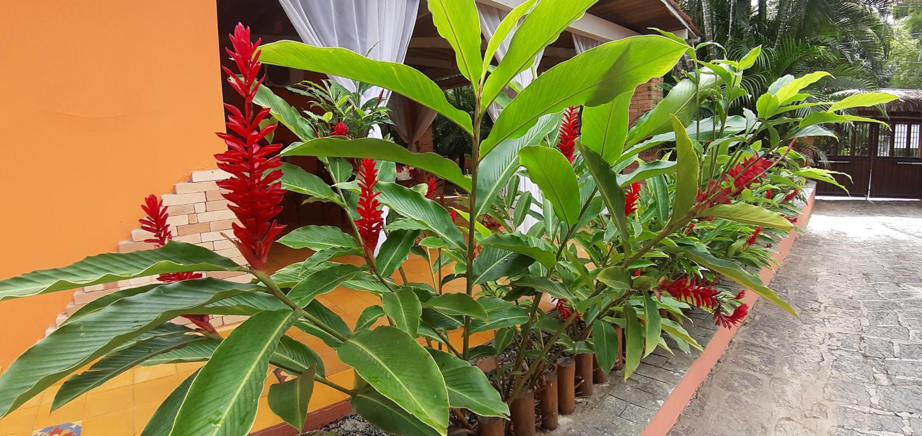 Pousada Canoa Caiçara Ilhabela
