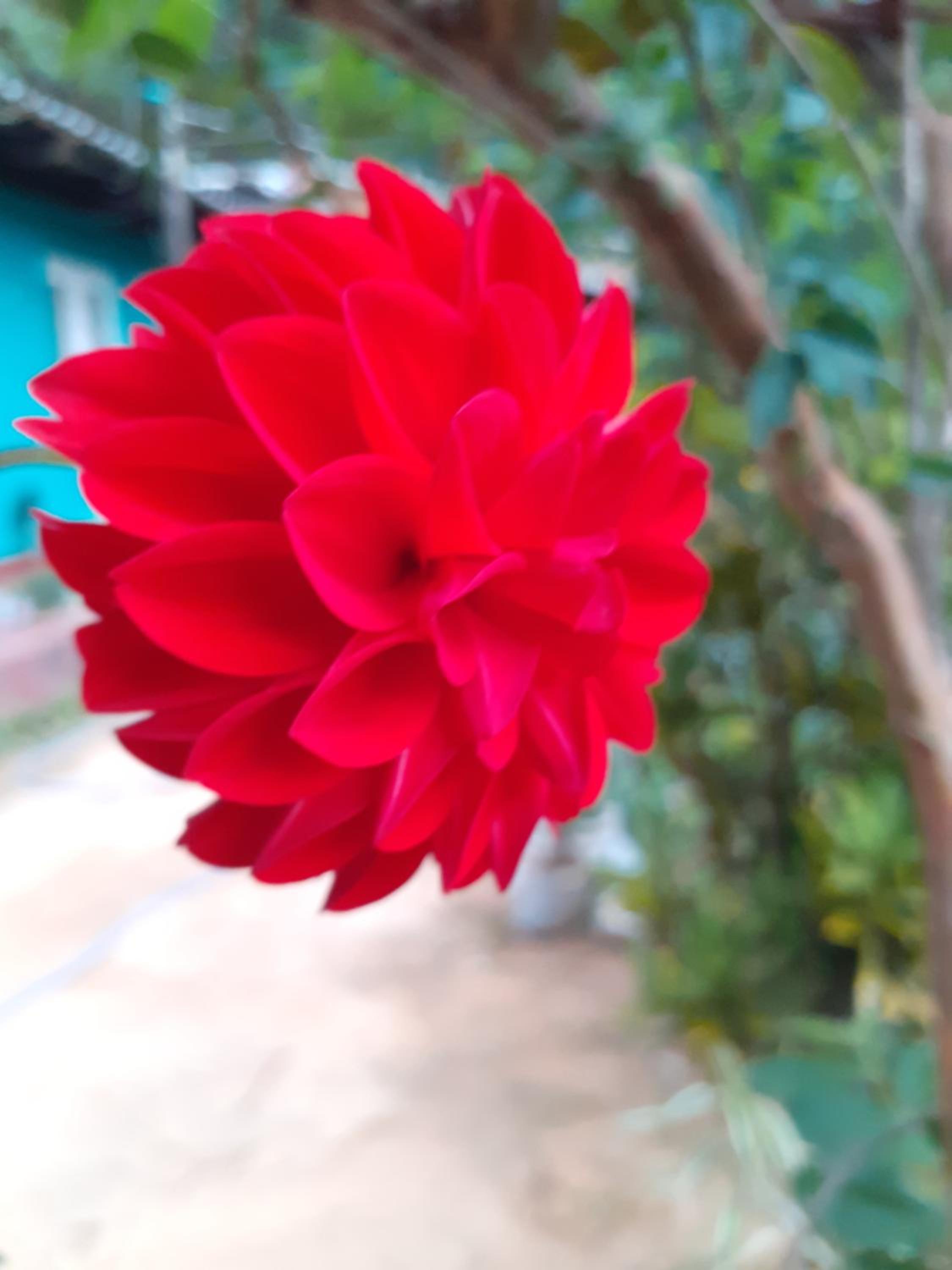 Secret Nest Homestay