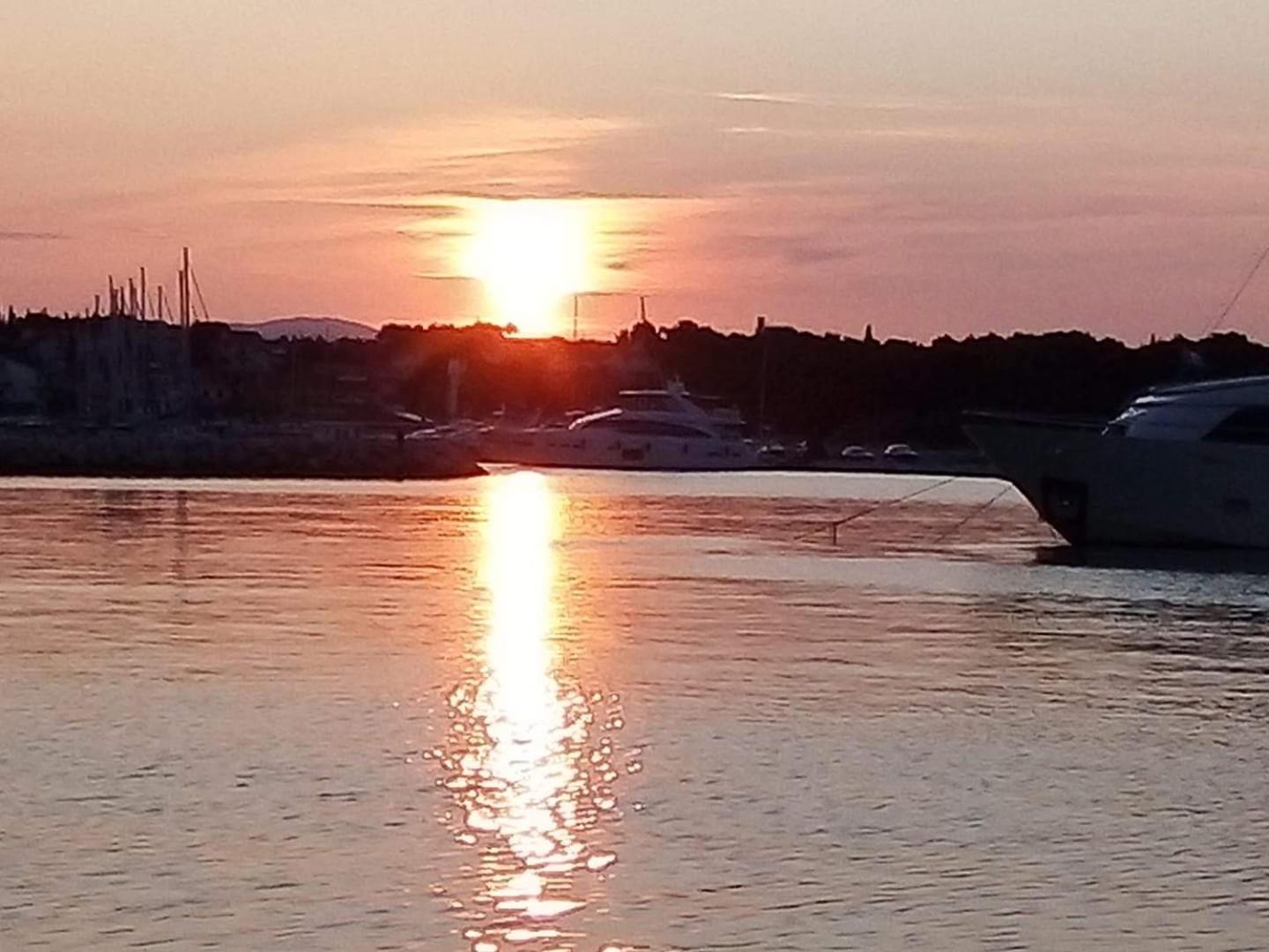 Mladen Vodice