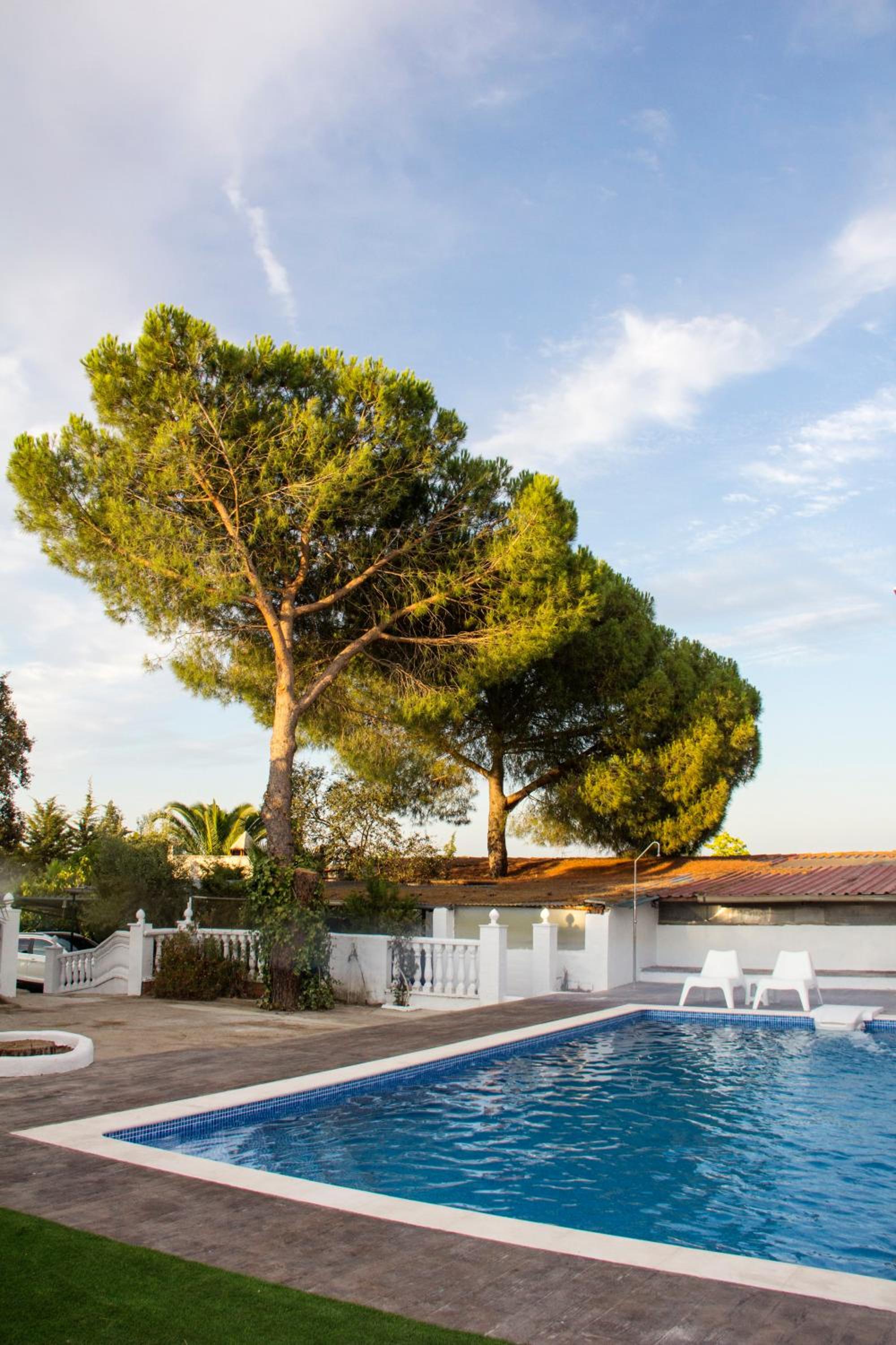 La Berruca Casa Rural Malpartida de Cáceres photo 2