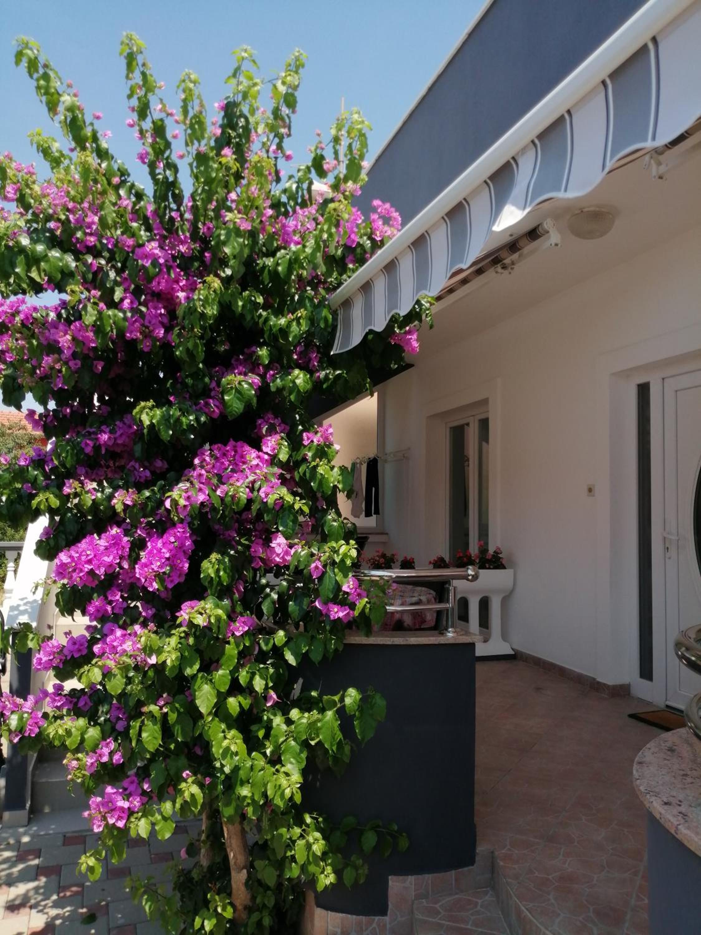 Apartment Šime Bibinje view 2