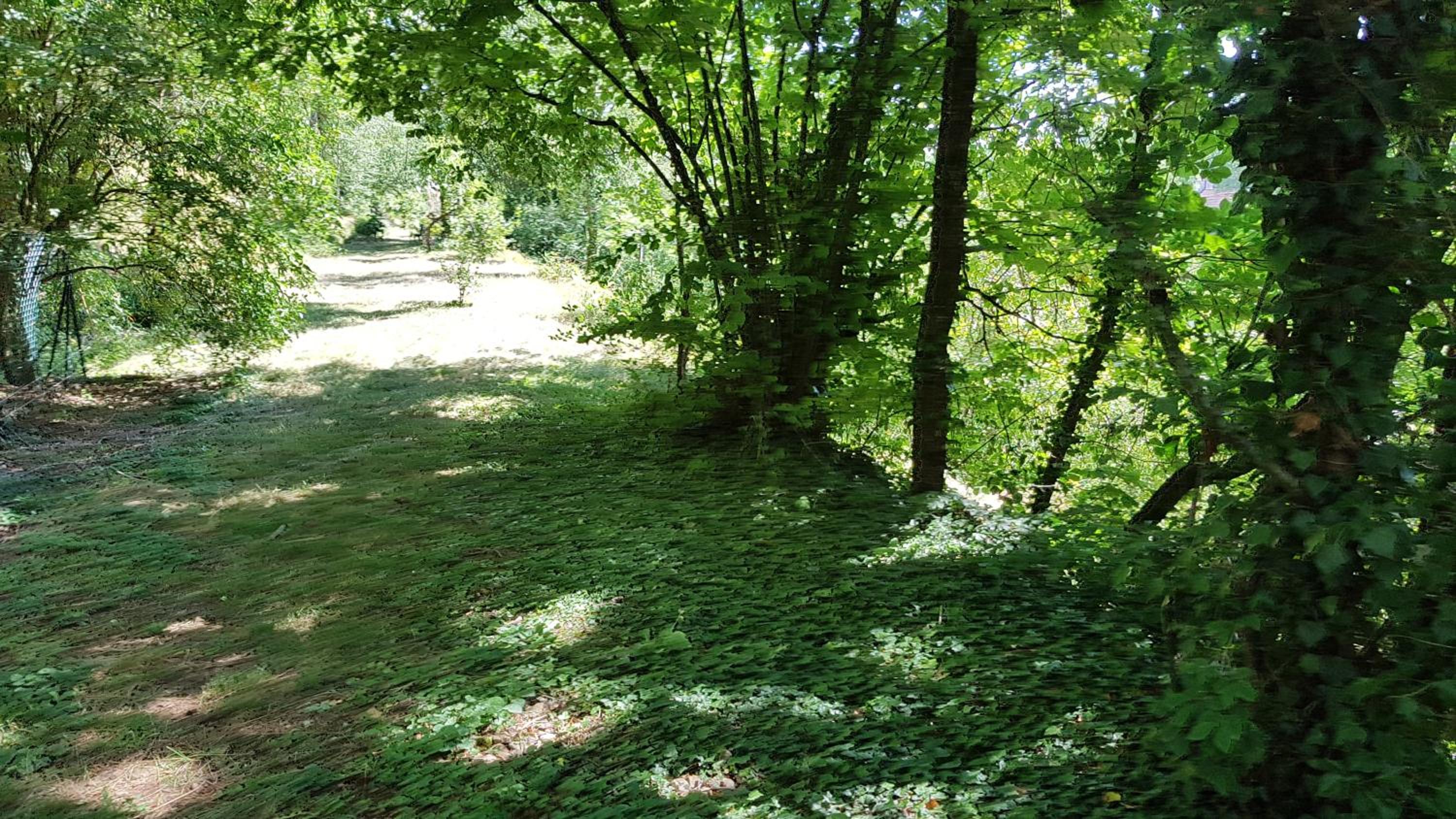 Photo 29