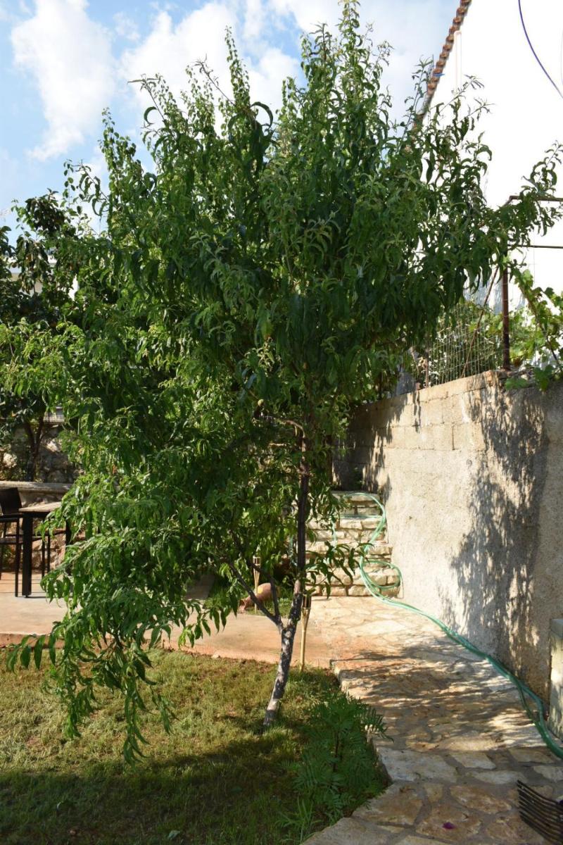 J&B Rooms Dhermi