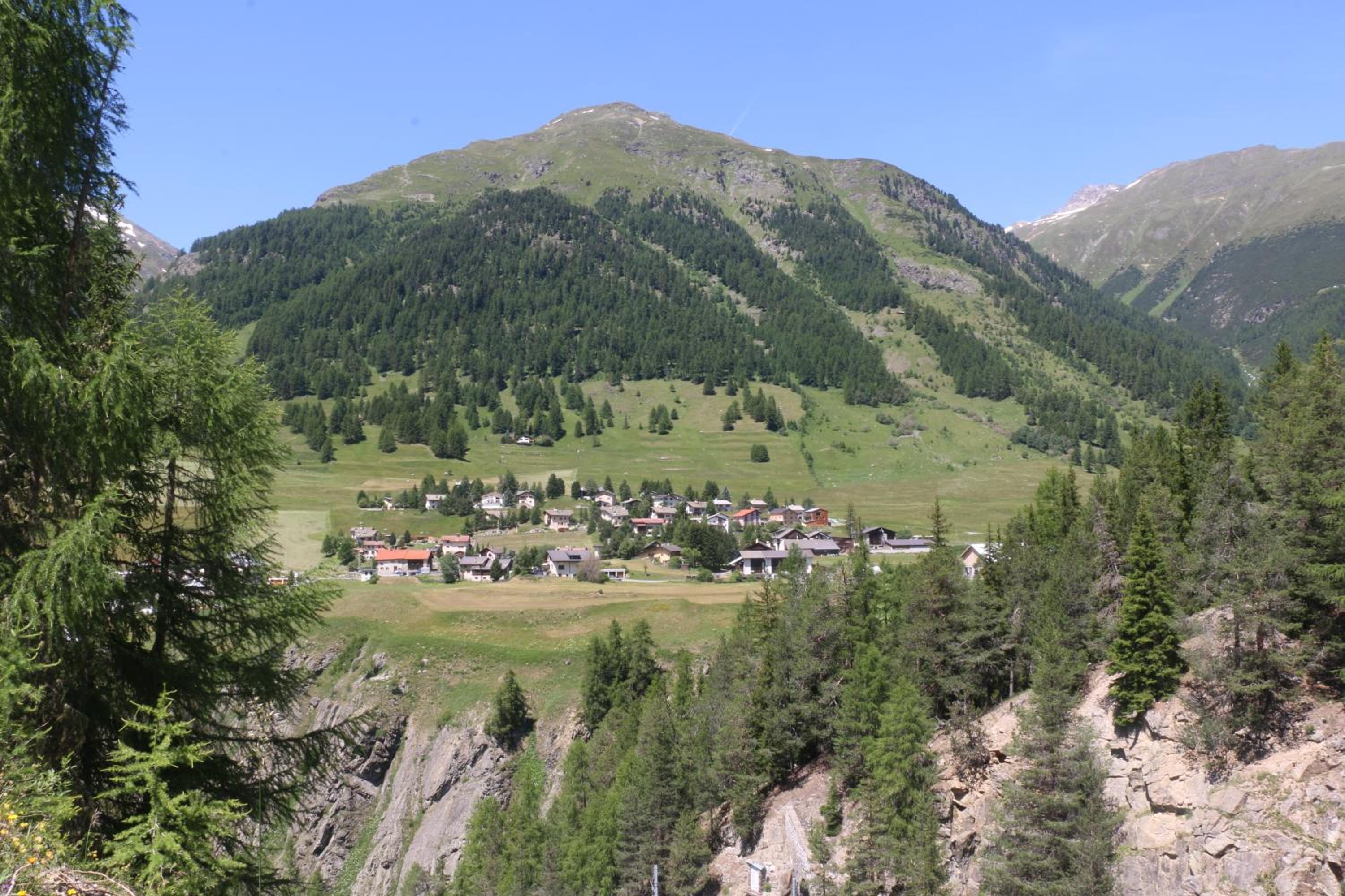 Photo 8