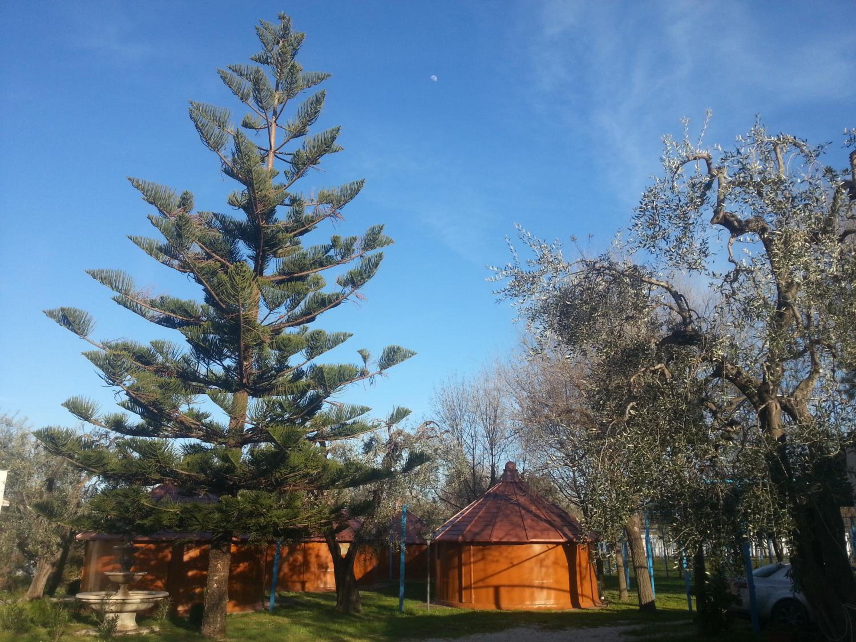 Matinée de camping — photo 3