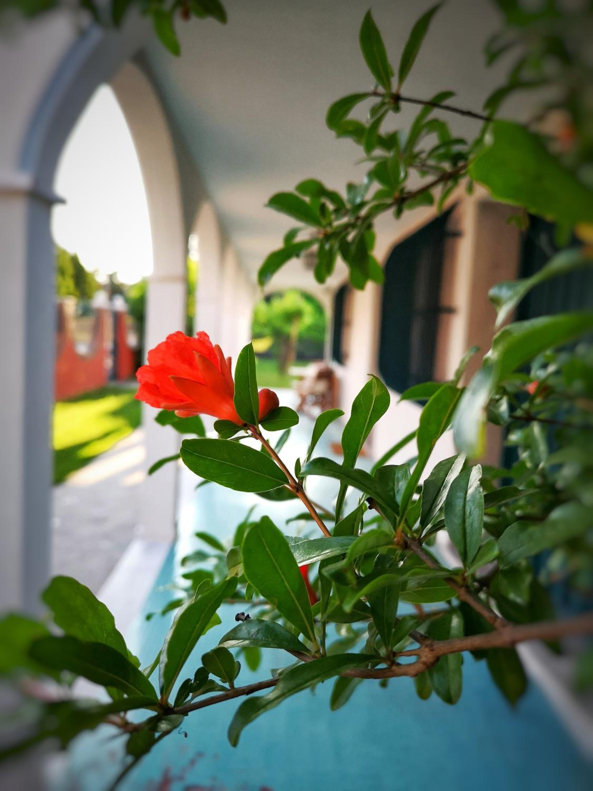 Casa del Vigneto - NEW near VENICE - rooms+bathroom - INDEPENDENT view 5