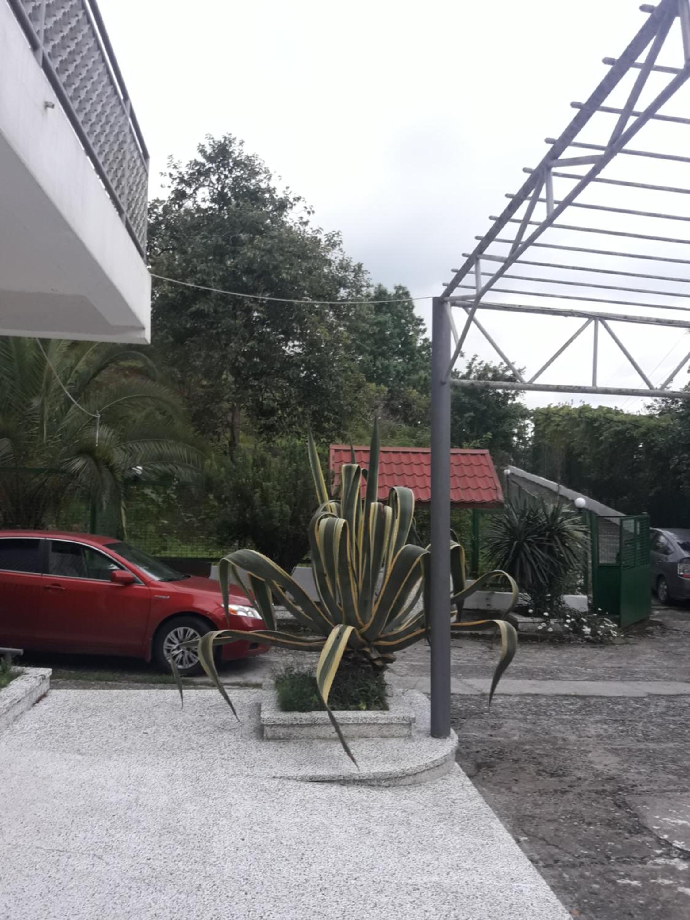 Photo 29
