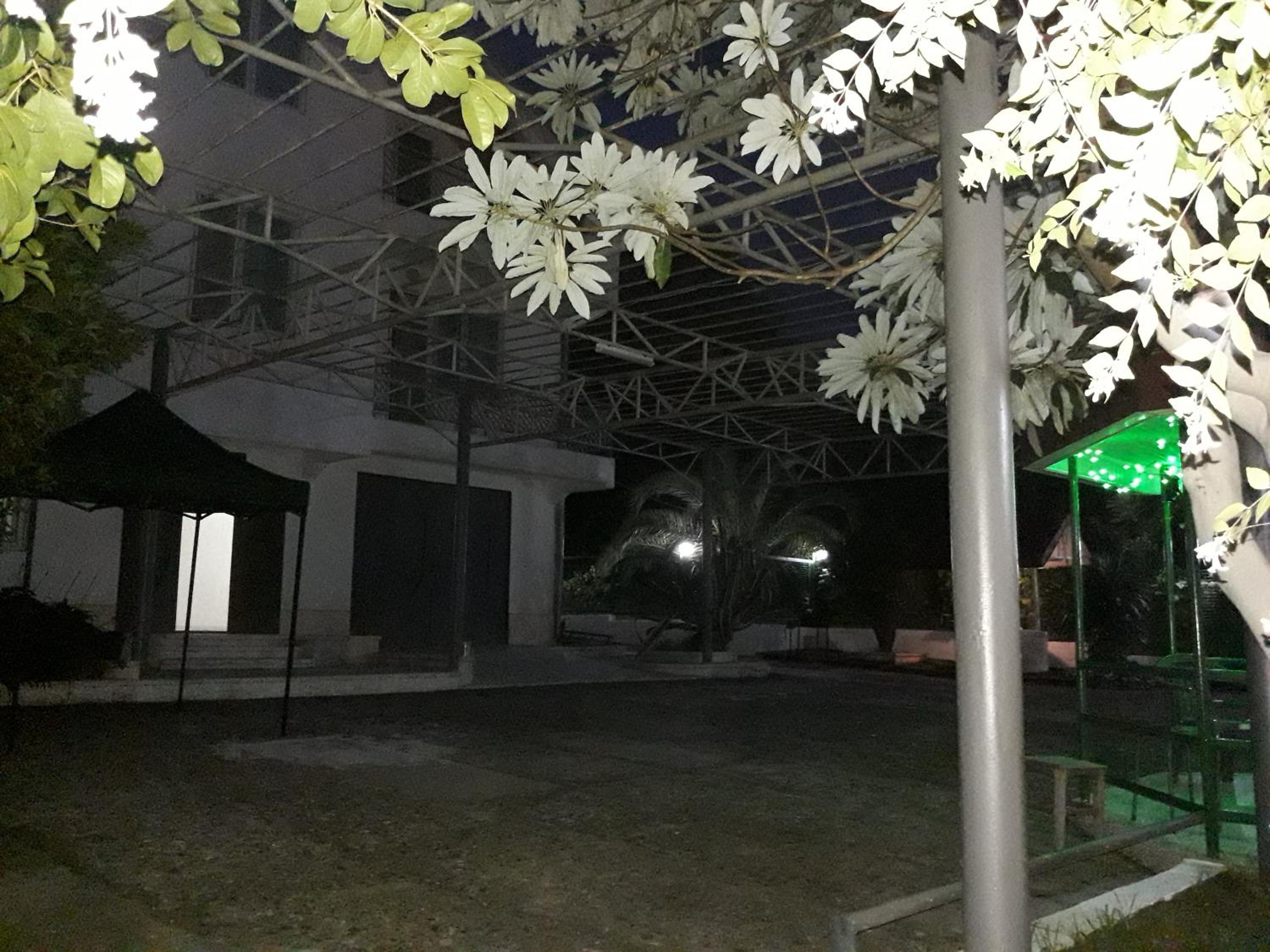 Photo 46