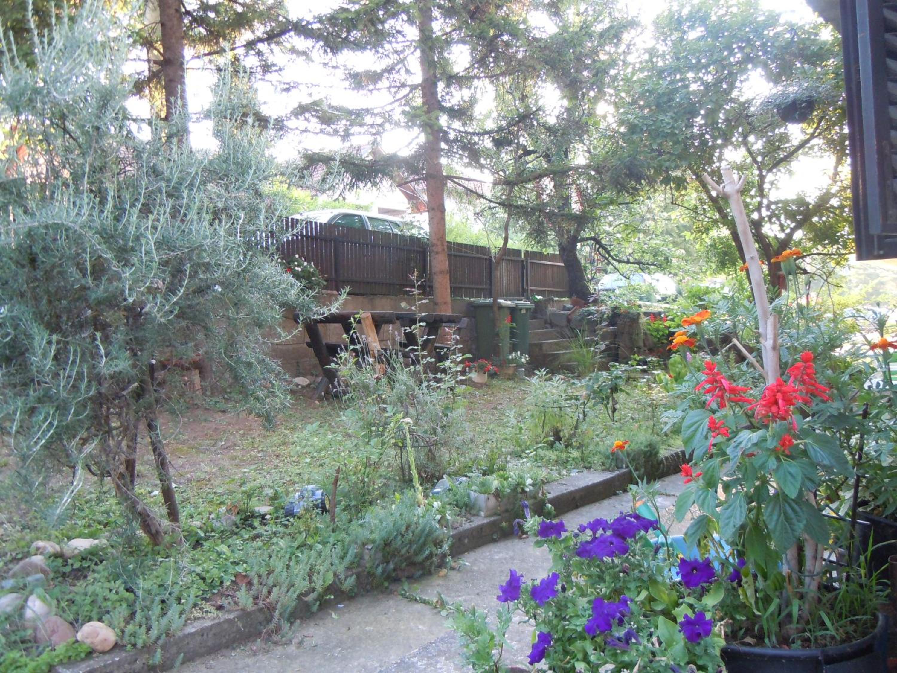 Apartmani Sobe BILJANA view 5