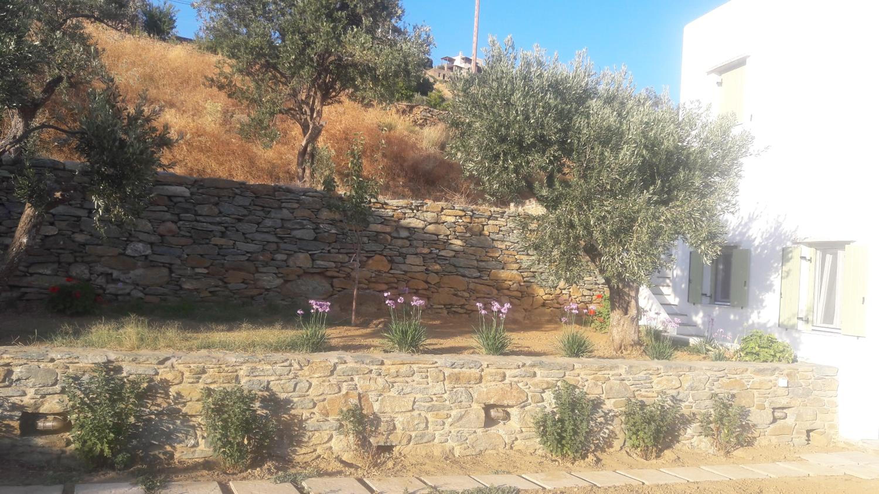 Vrahos Agios Romanos view 2