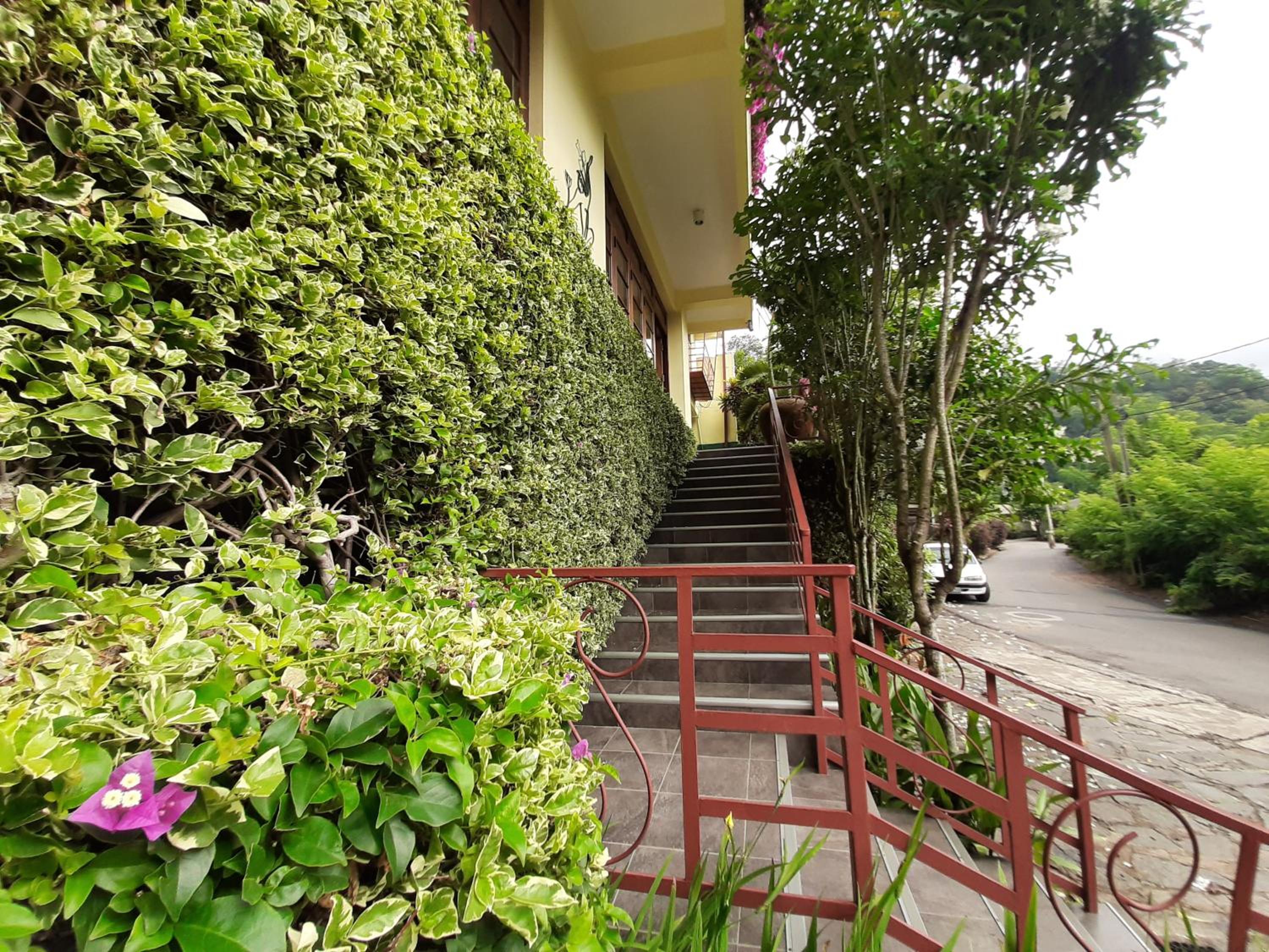 Nature Walk Resort
