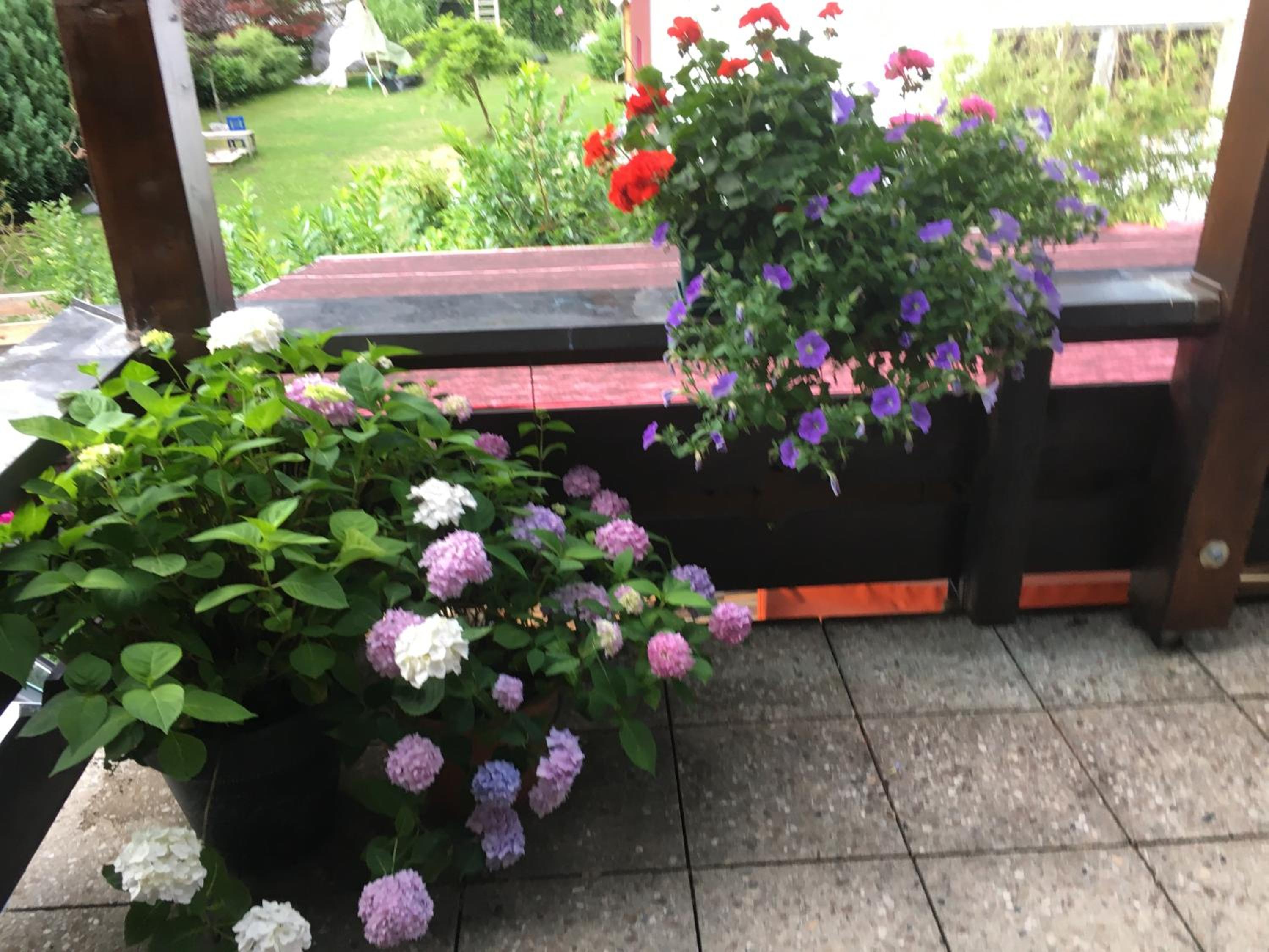 Appartement Straninger am Achensee, photo 29