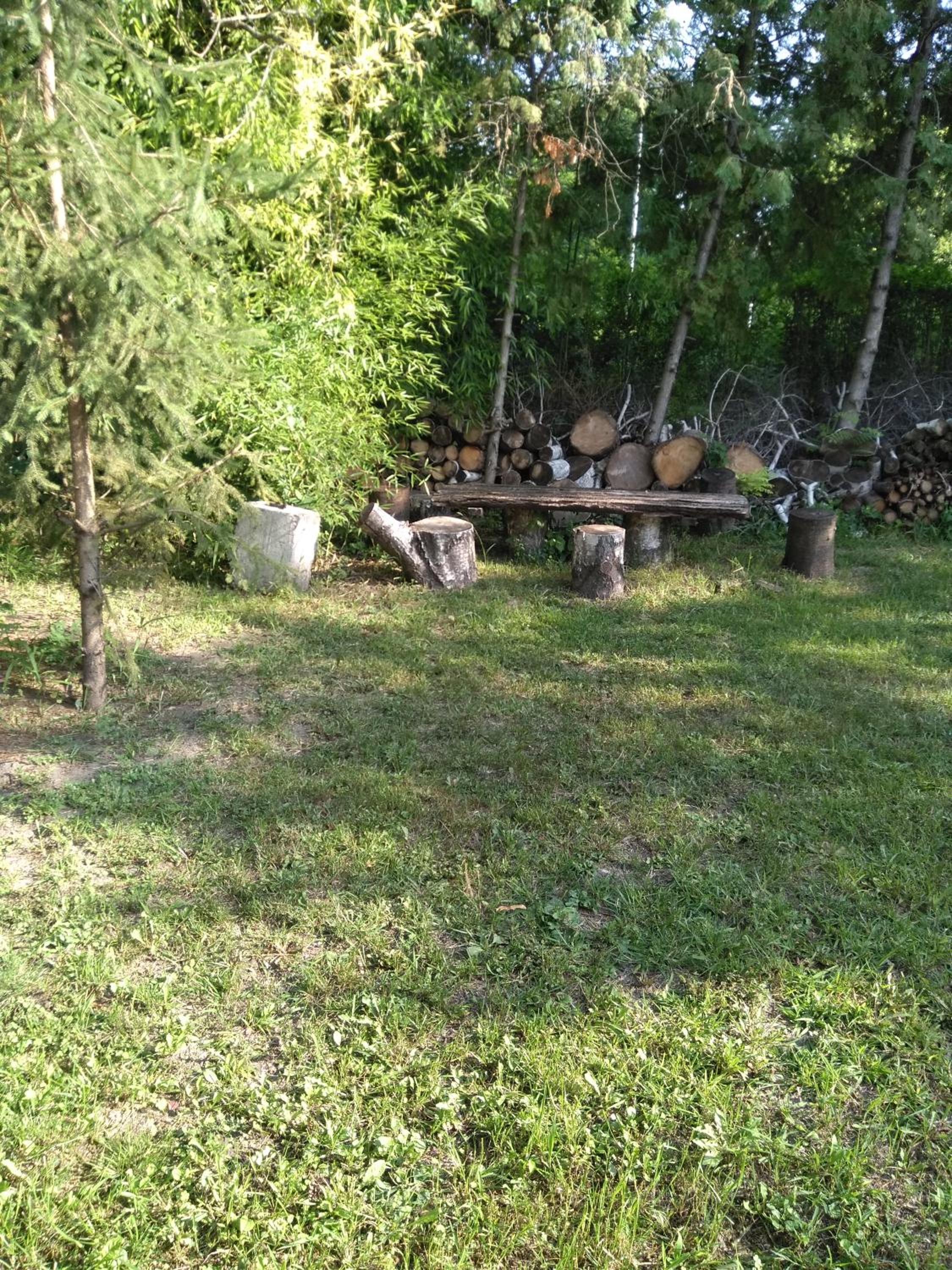 Photo 6