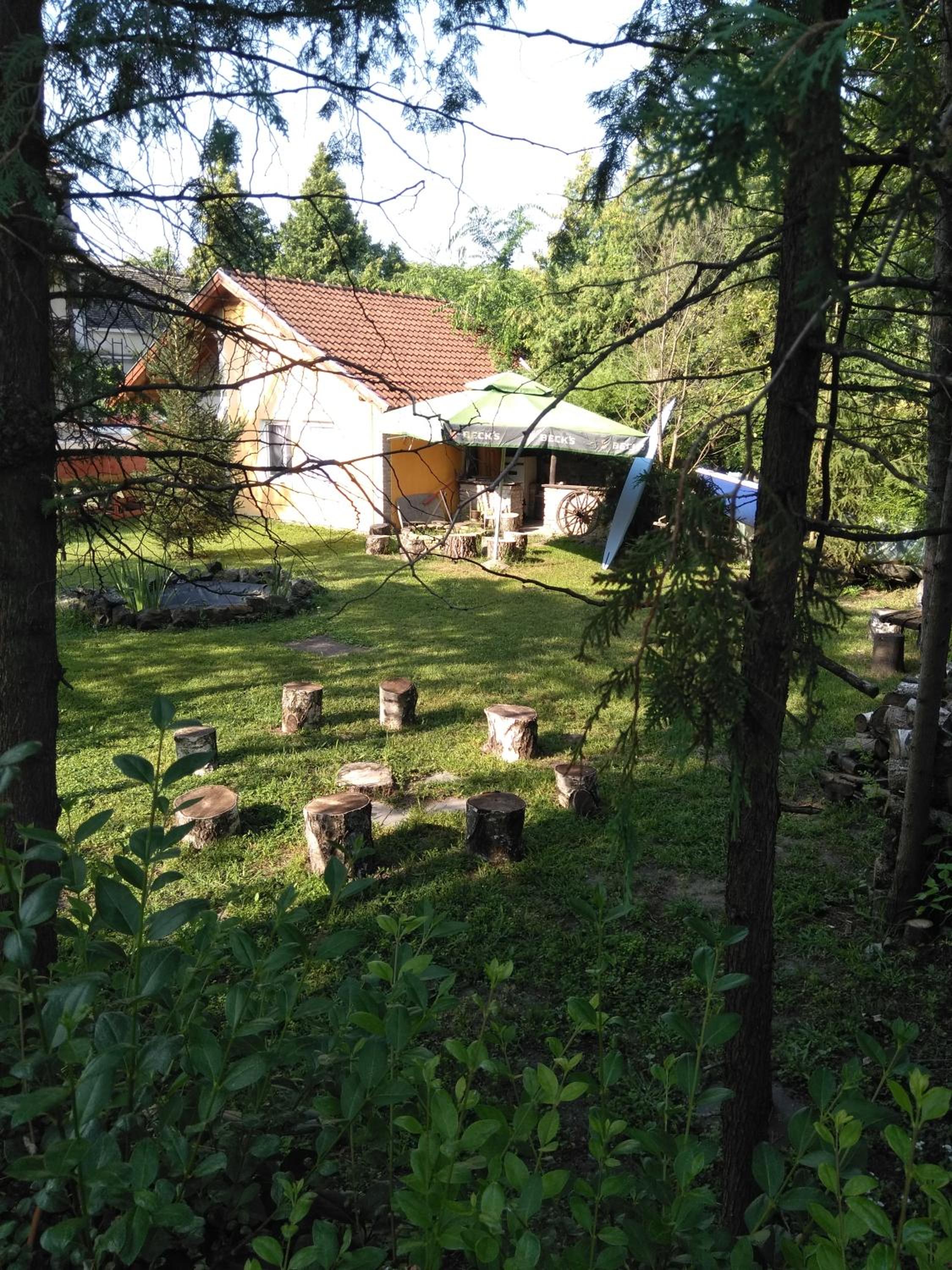 Photo 8