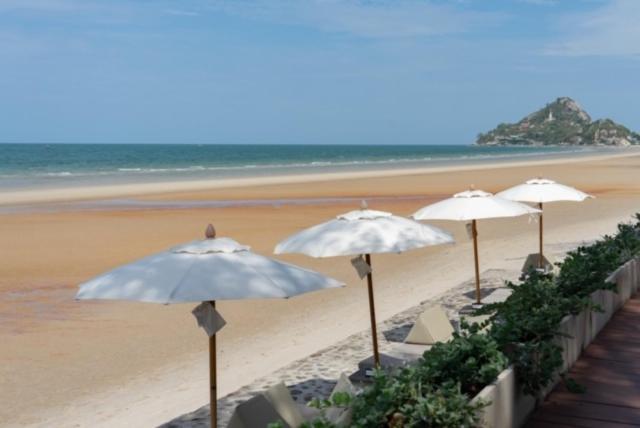 Loligo Resort Hua Hin