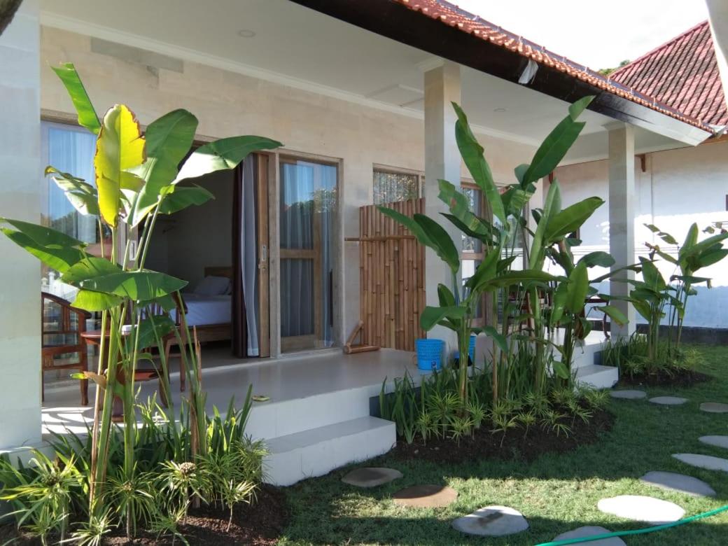 Padi guest house view 3